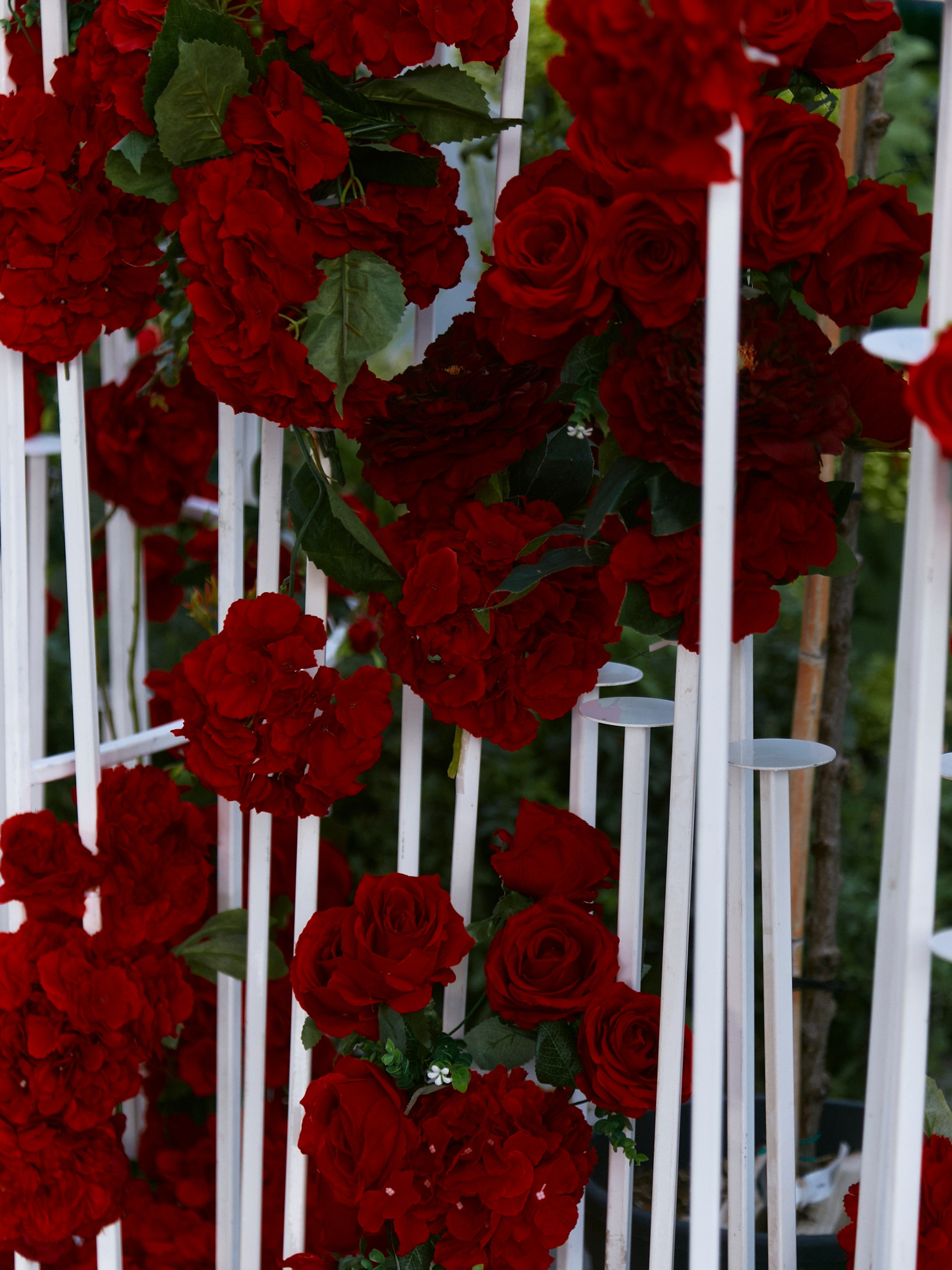 PORSCHE. Egor Plakhotin Photography