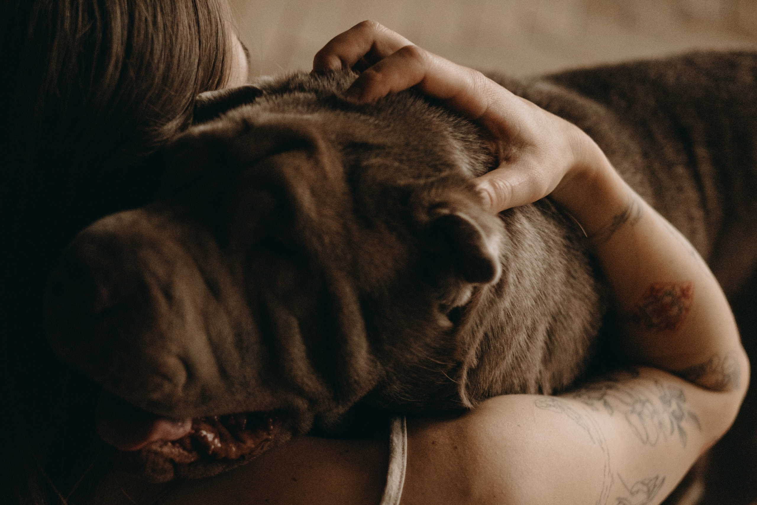 Ульяна и Вагнер. Фотограф — Анималист | Санкт-Петербург