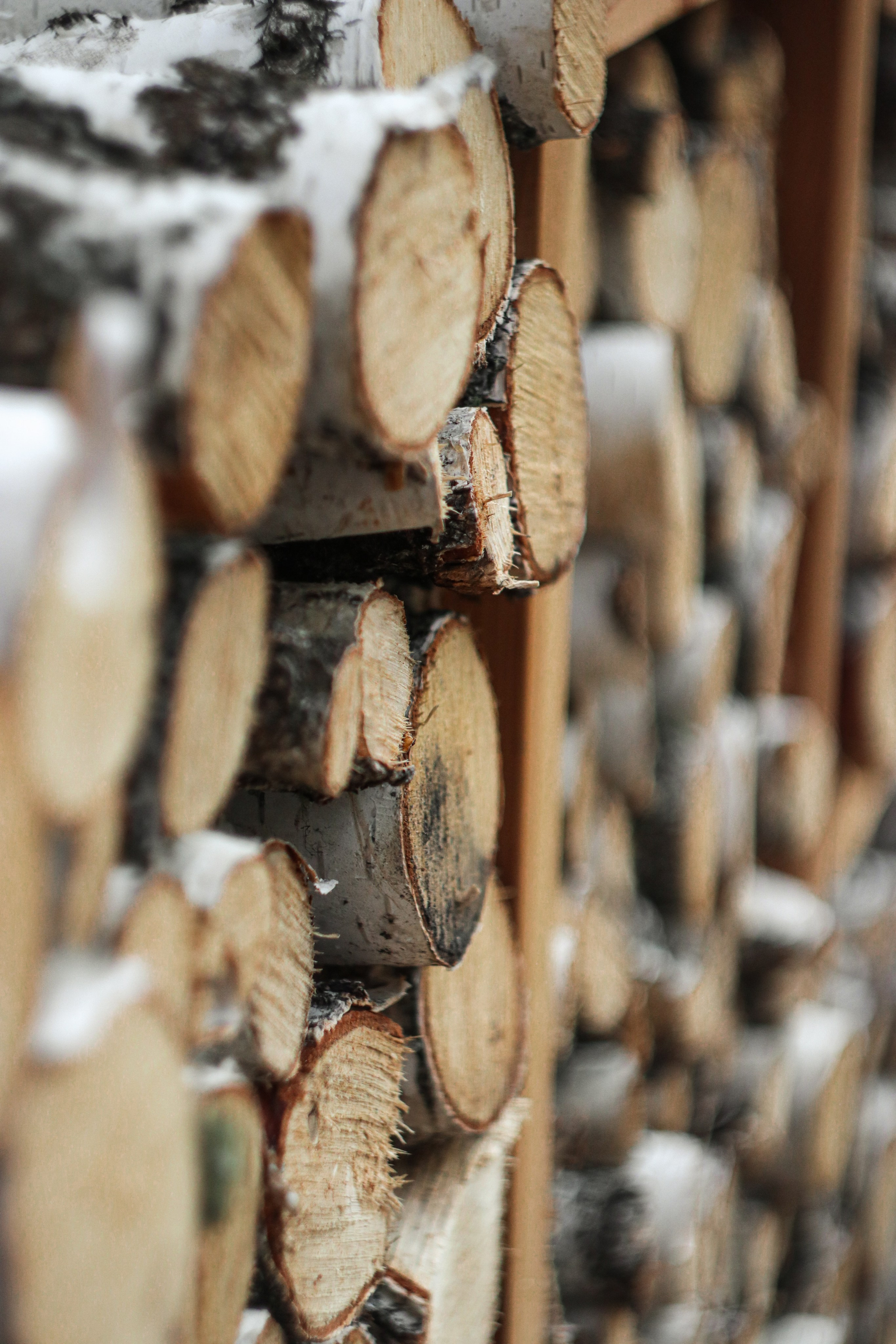 «Pinewood» парк-отель, респ. Алтай. Контент фотограф Дмитрий Борисов