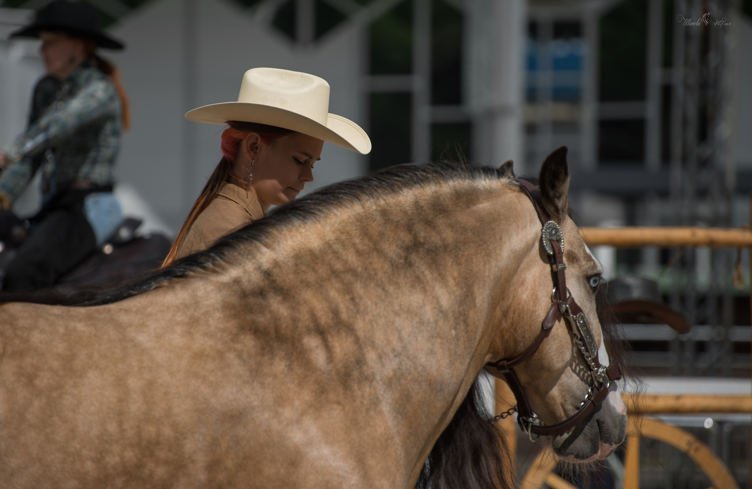 Эквирос, Москва. Конный фотограф в Саратове Юлия Иванова