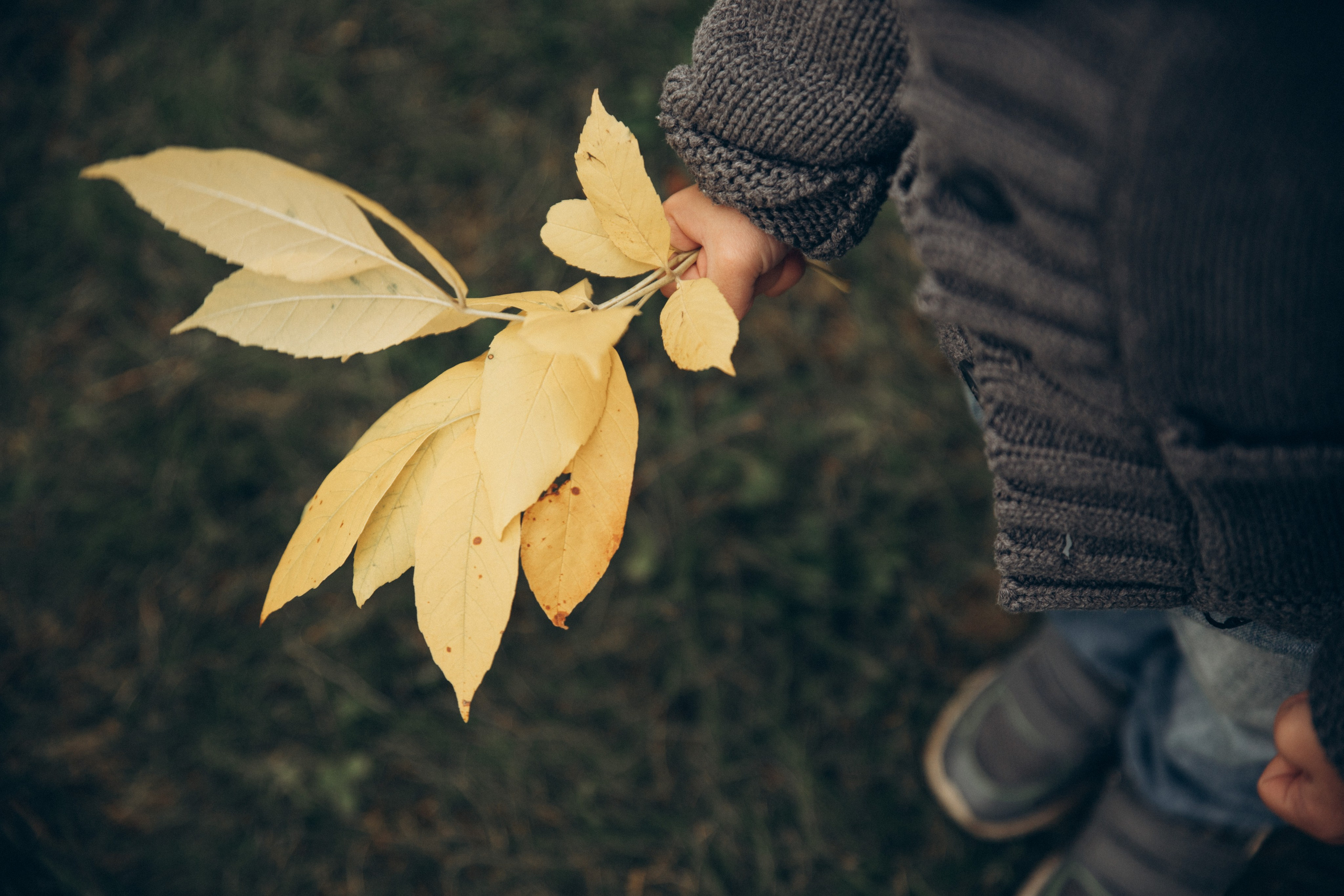 Степка, Савелий и горячий шоколад. Репортажный и детский фотограф в Минске