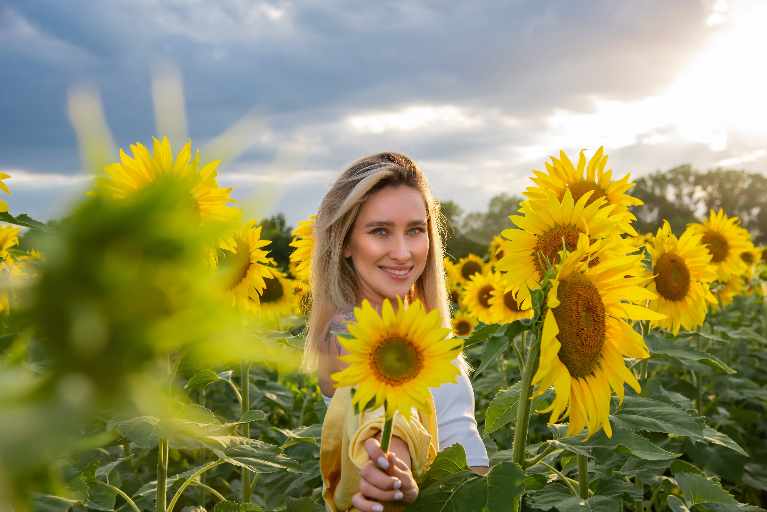 Подсолнух. Фотограф Галина Нестерова