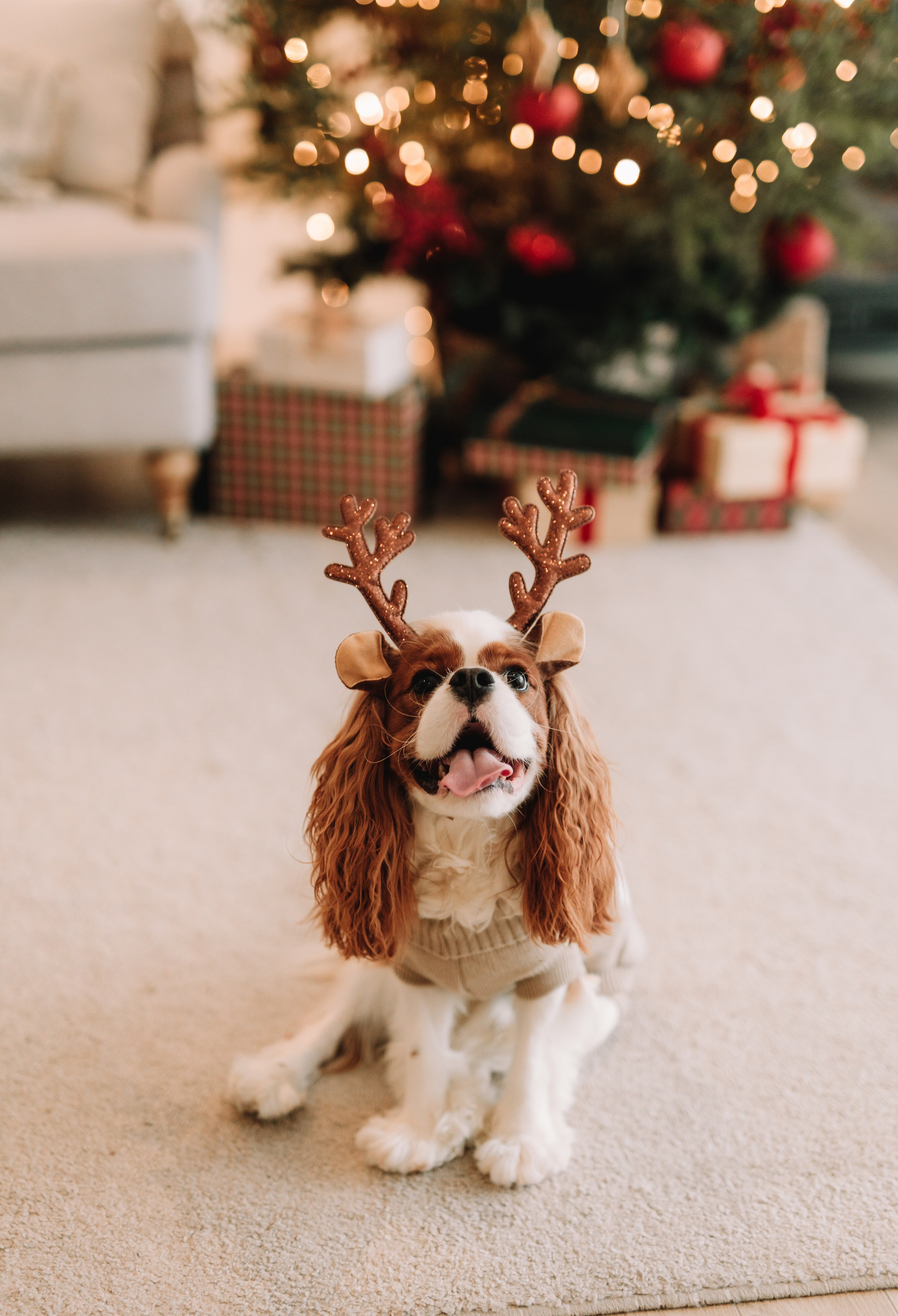 Женя Вика и Дэнни. Свадебный фотограф СПб Евгения Орлова