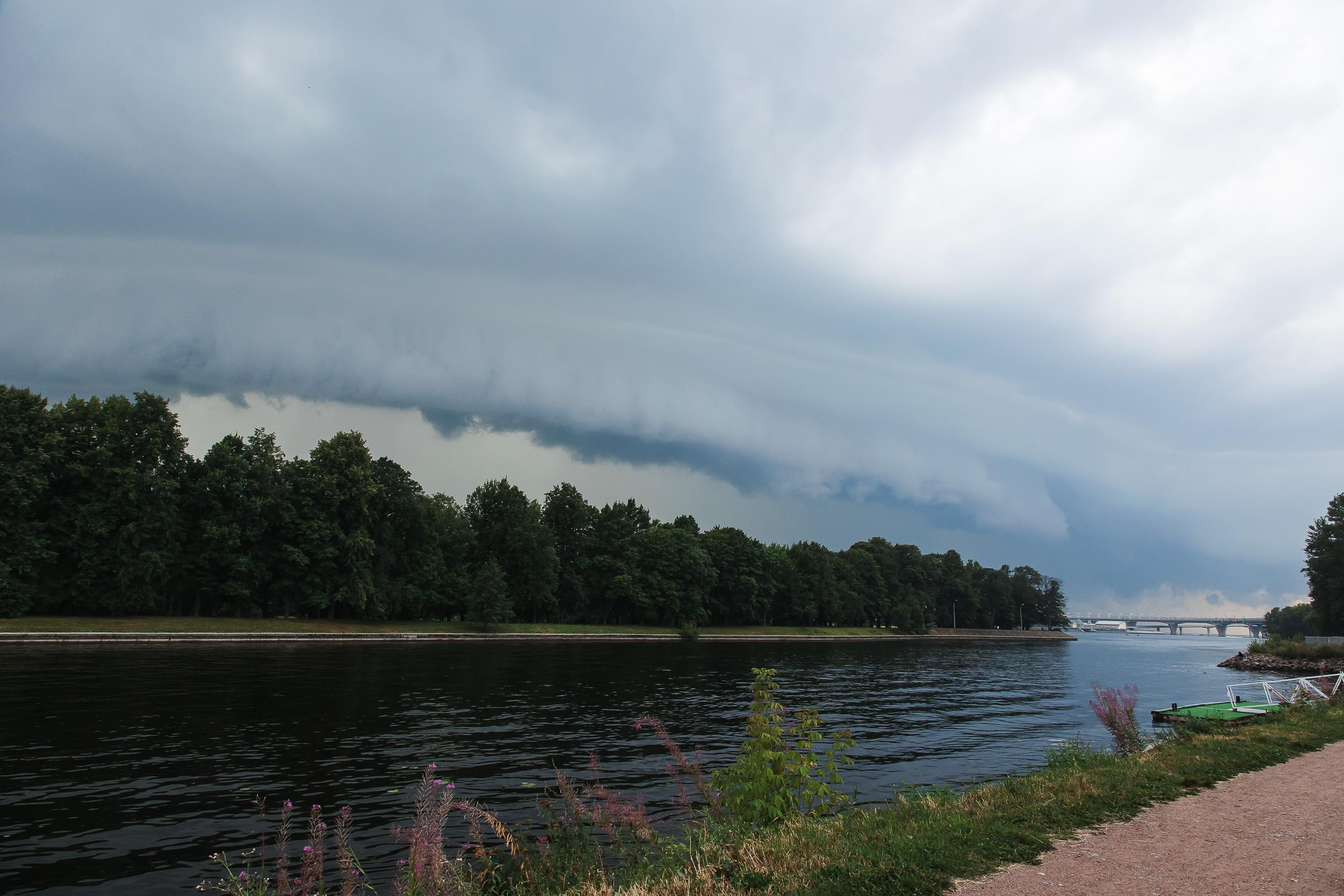 Свадьба Ирины и Дениса