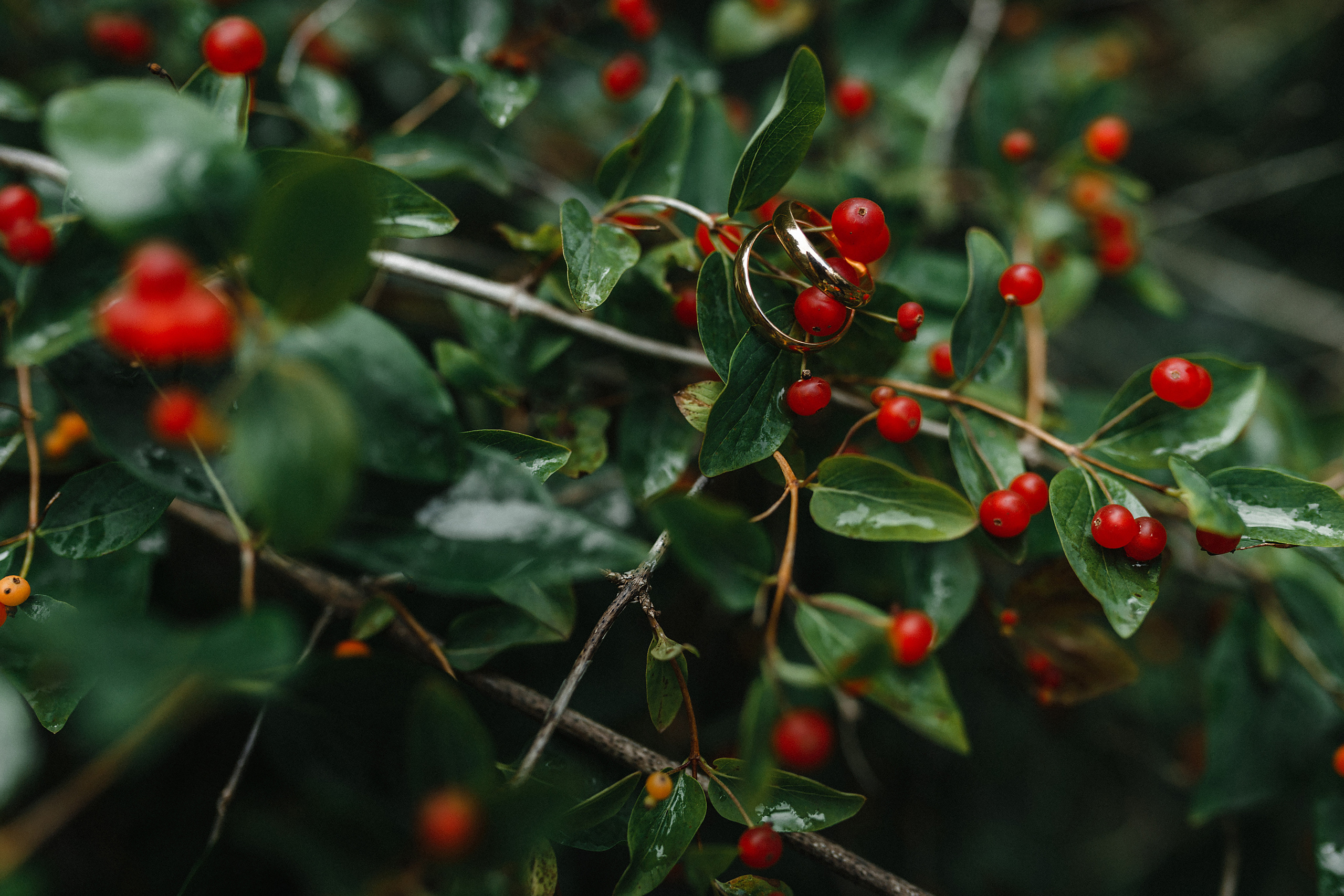 Weddings. Photographer in Argentina Angela Kessler