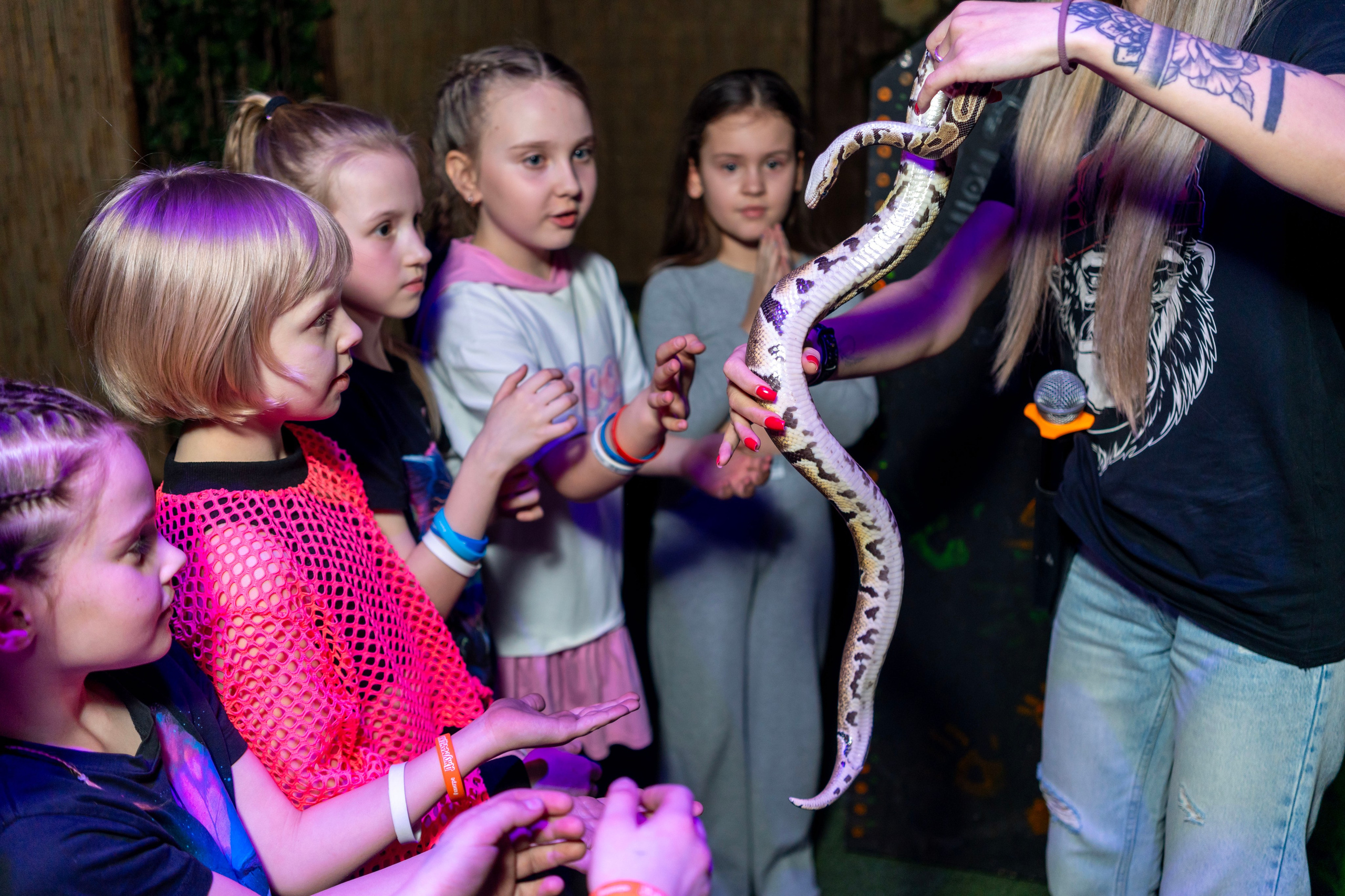 Квесты. Фотограф Юлия Попова