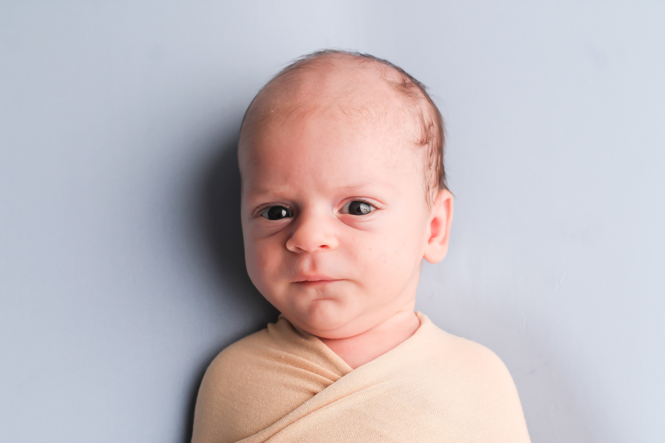 Пелег. Photograper Israel/фотограф Израиль. ALINA TARAN