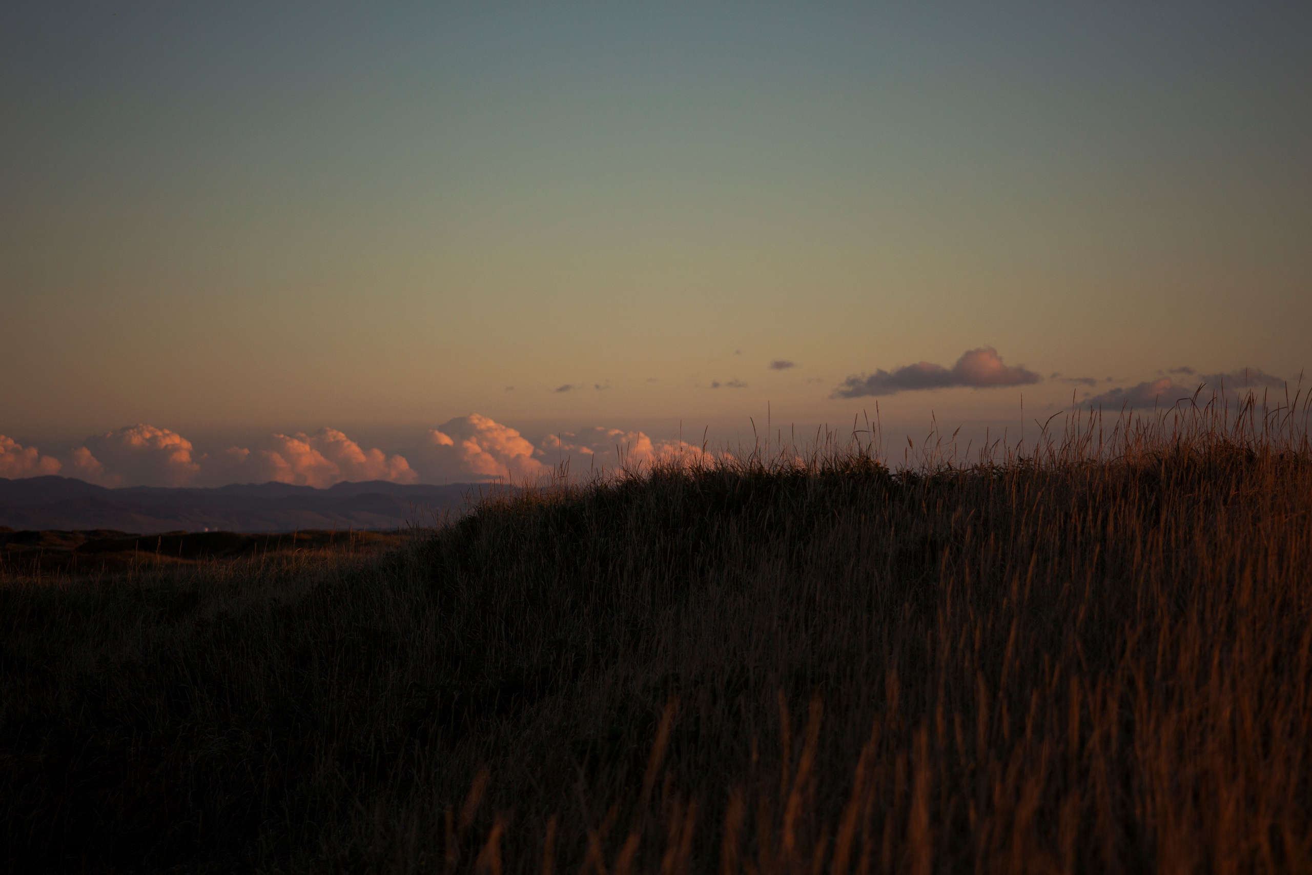 Первый день на Сахалине. Фотограф Даша Омельченко