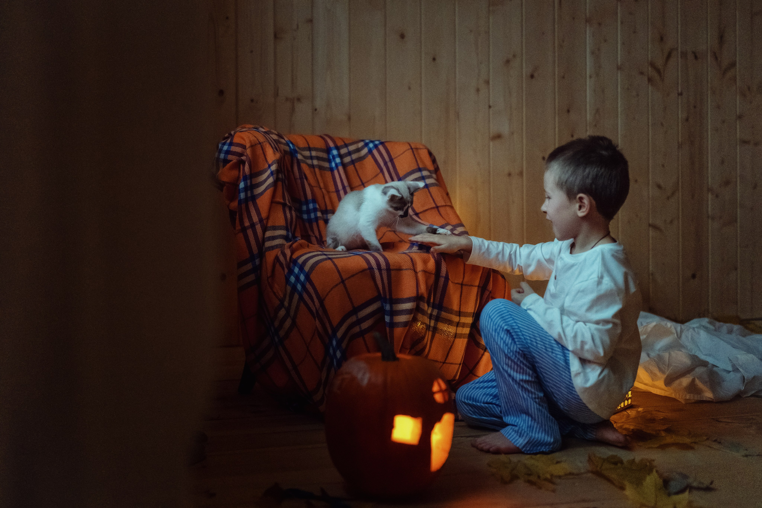 Осень на чердаке. Семейный фотограф Новая Рига (Звенигород, Истра) Евгения Литовченко