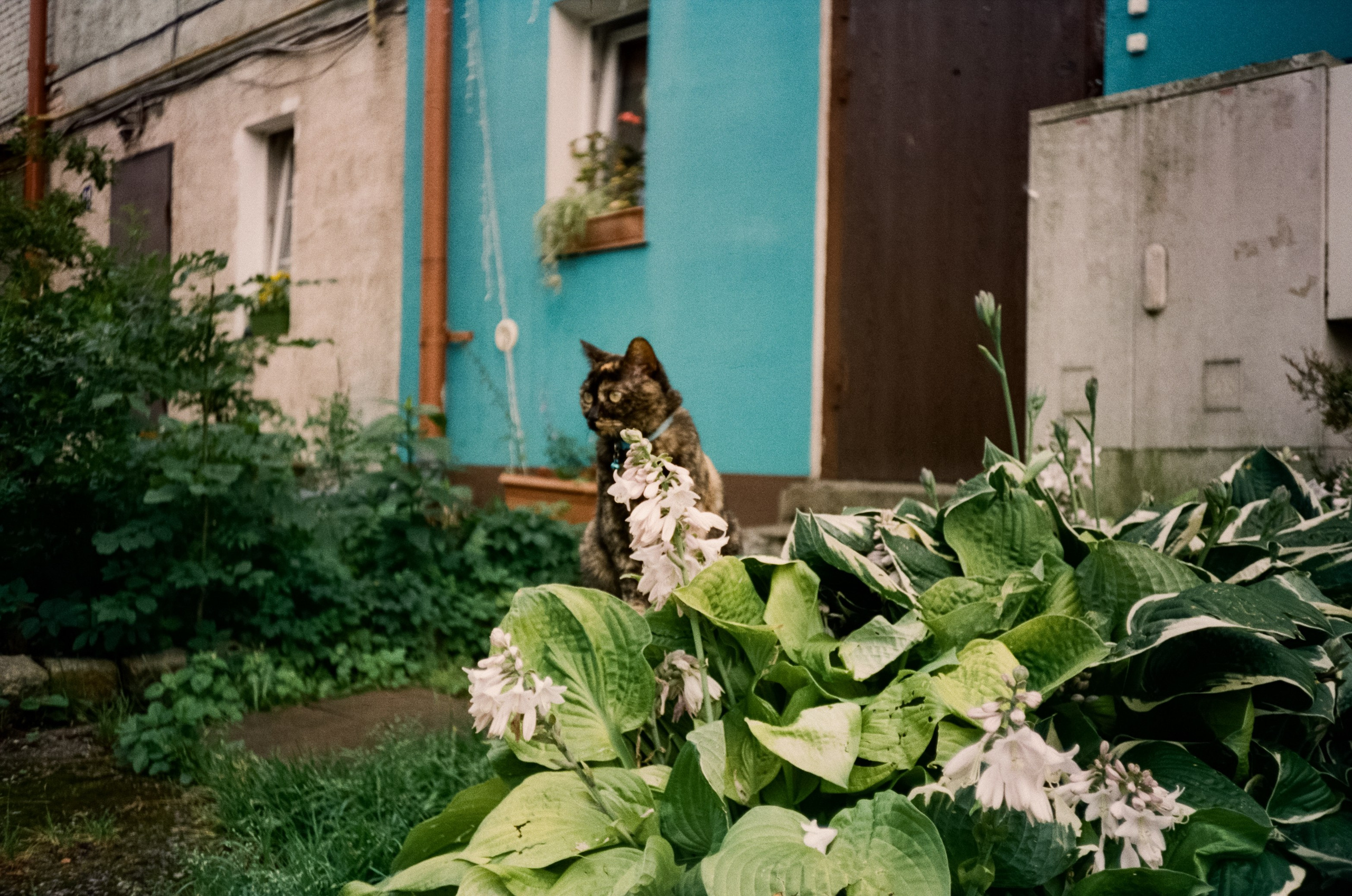 Ремонтная улица в районе Ратсхоф. Старый Калиниград. Фотограф-документалист Мария Осокина