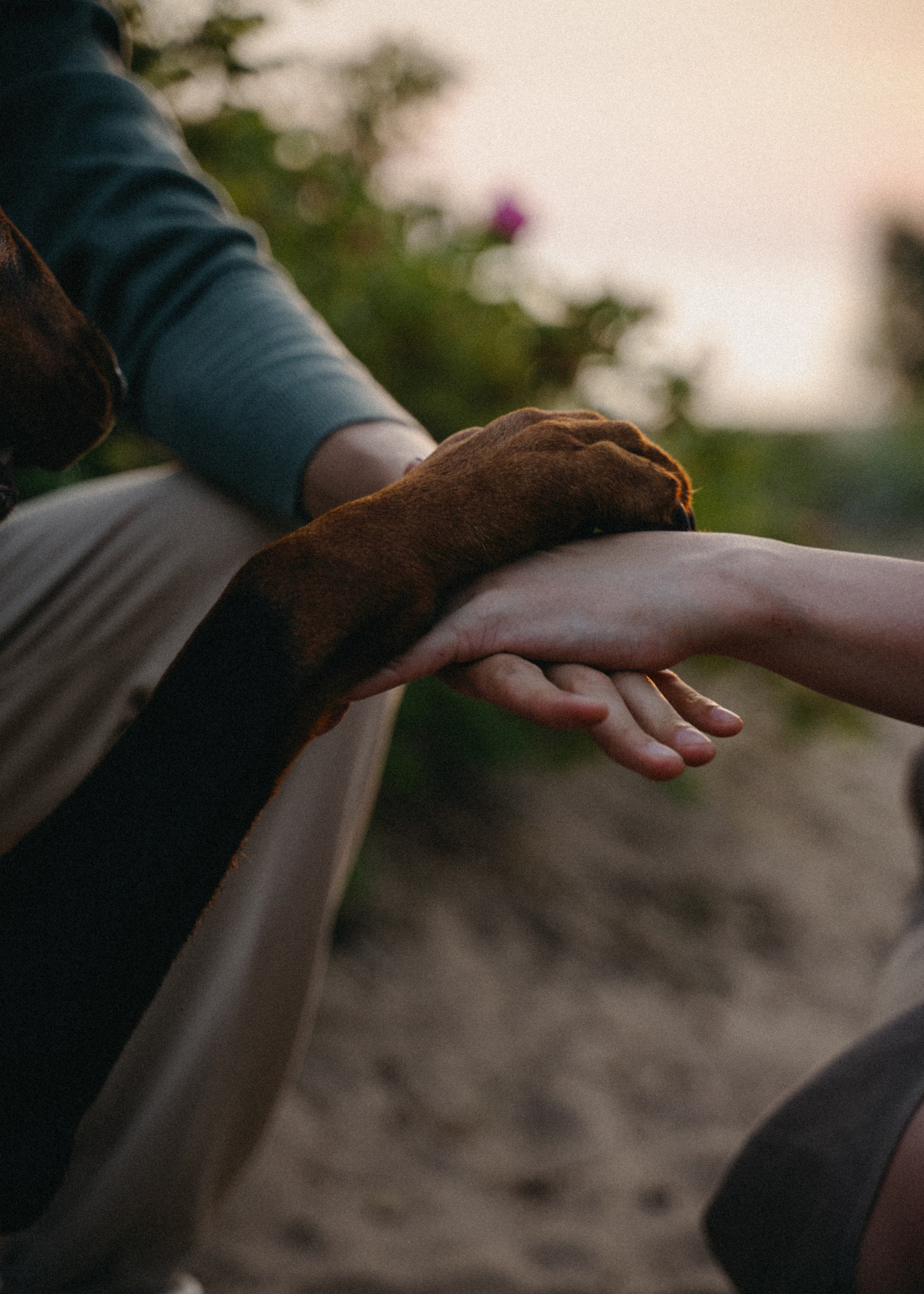 Нестер и Кристина. Свадебный и семейный фотограф в Санкт-Петербурге Дмитрий Панин