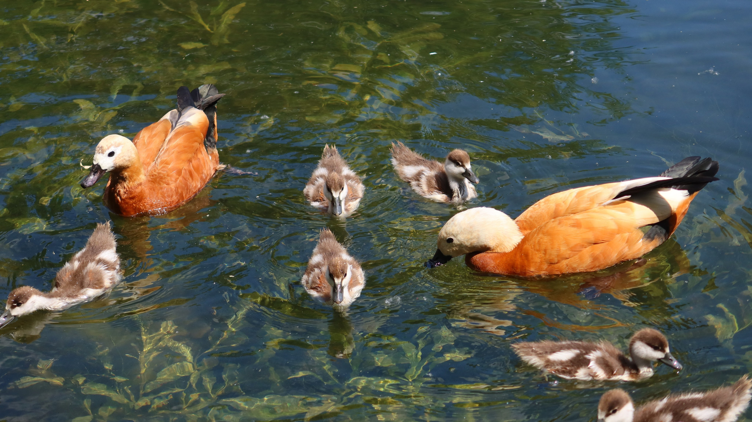 Антроповский сквер. Улица, люди, жизнь…