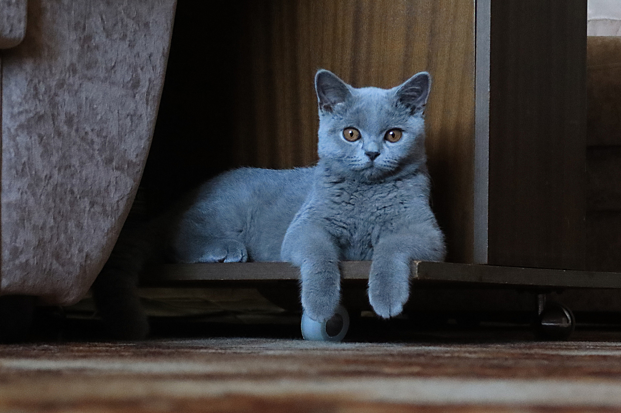 Улица, люди, жизнь…