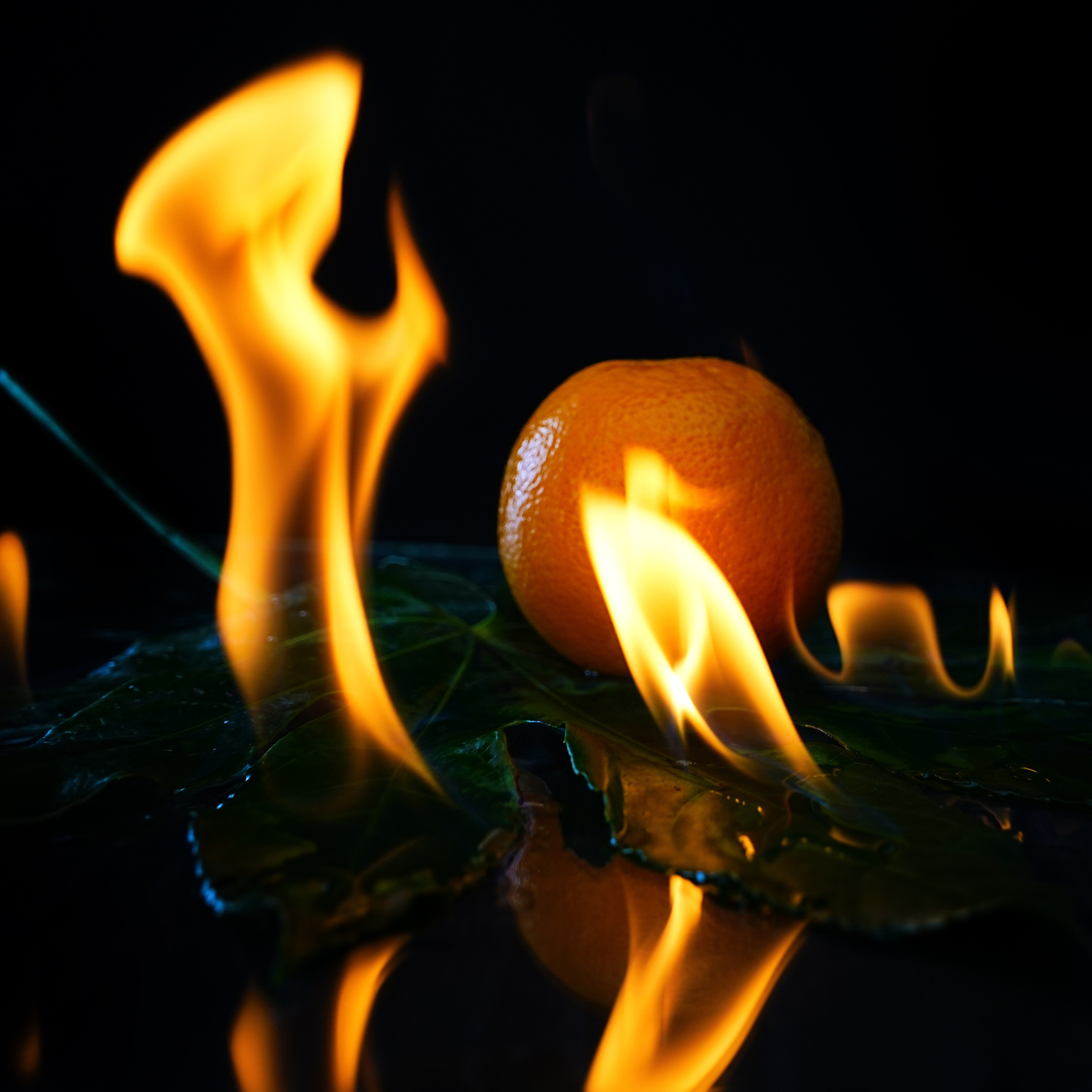 Предметная фотосъёмка. Фотограф, видеооператор Нина Коршунова