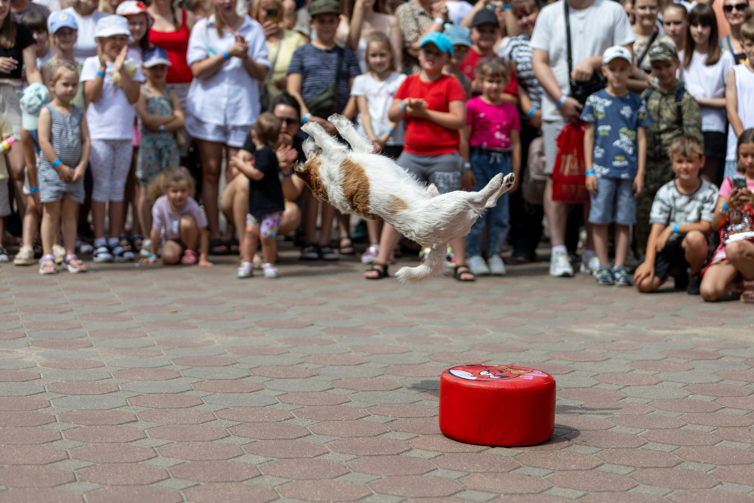 Детифест в дудутках. Профессиональный интерьерный и репортажный фотограф Минск и РБ. Максим Орлов