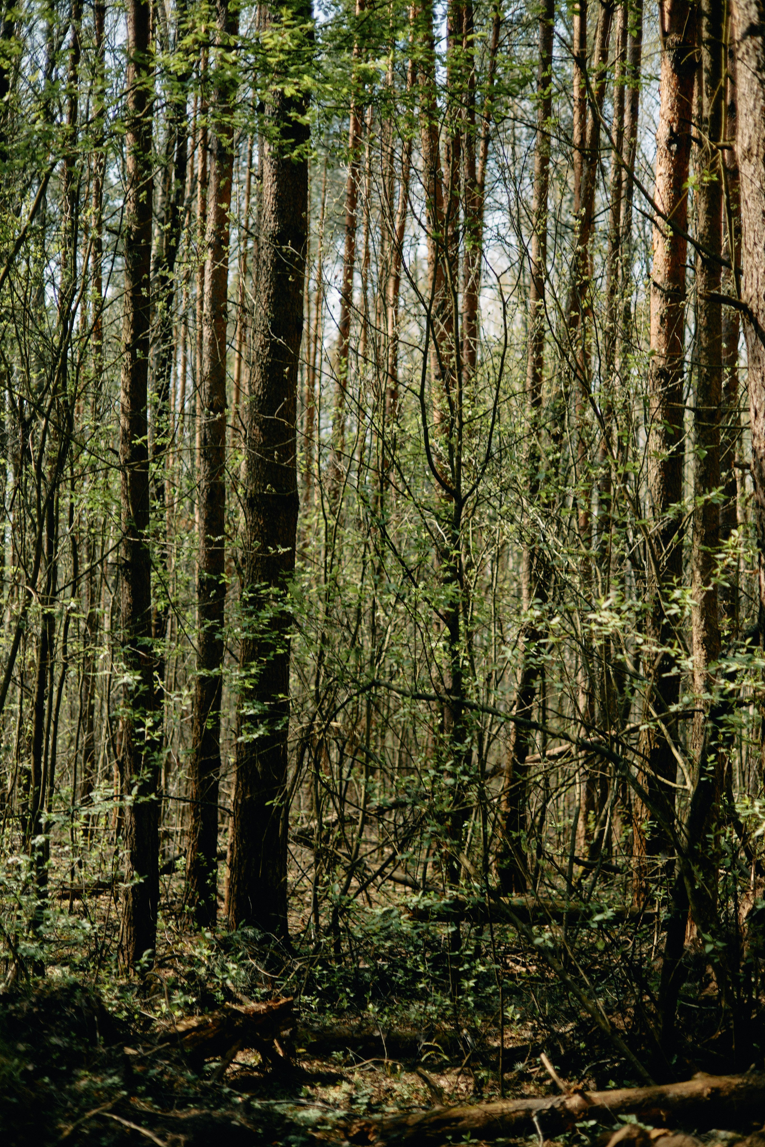 Бутик-отель Поле летом. Профессиональный Фотограф во Владимире, в Москве и в Суздале — Полина Романычева