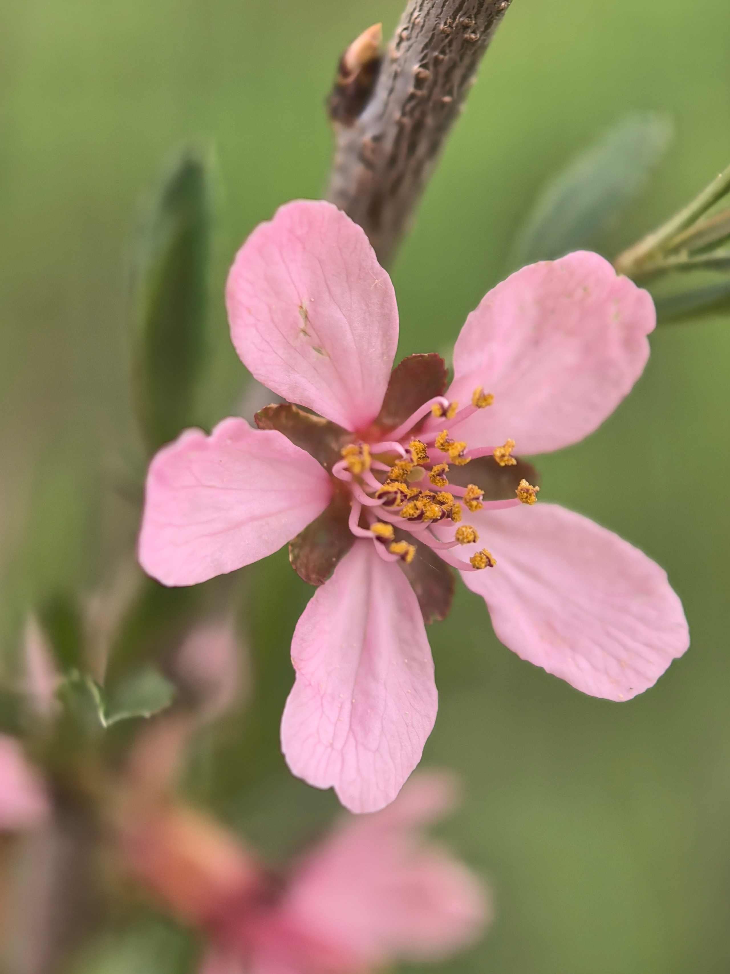 ПочтиМАКРО. Школьные выпускные альбомы в Москве Марина Николаева