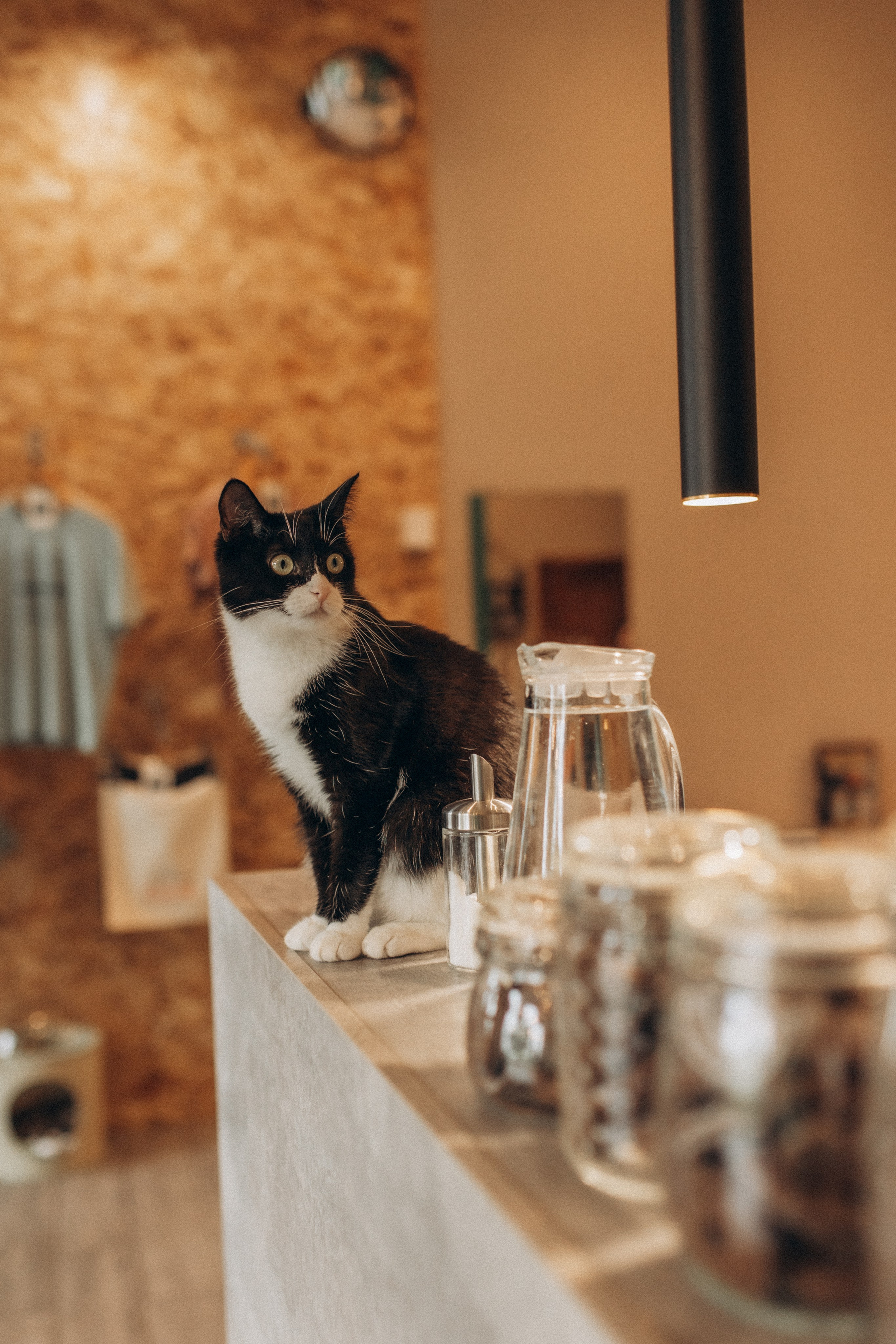 Прогулка по городу, осень. Семейный фотограф lifestyle в Новосибирске Елена Шпилевая