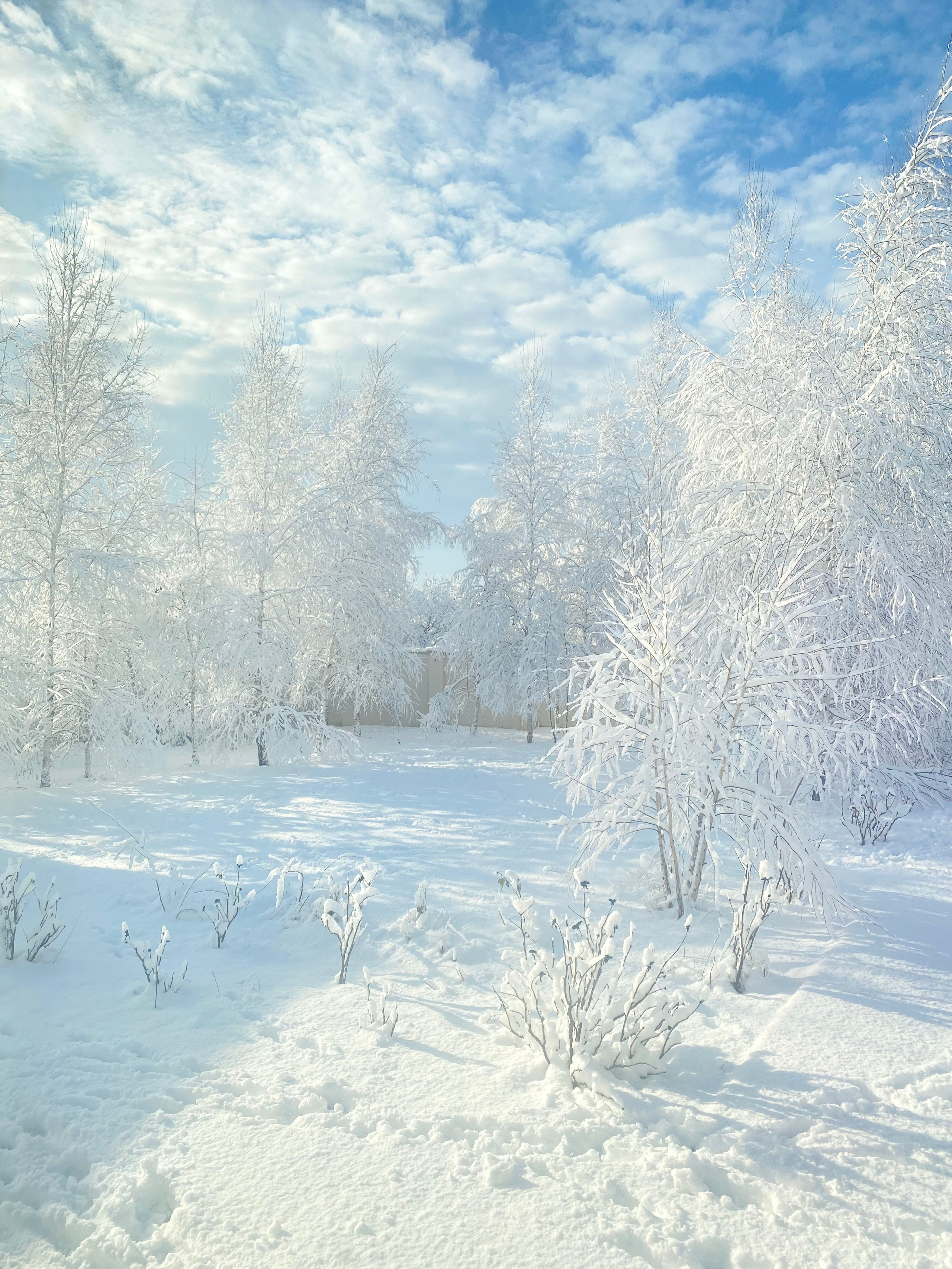Новогоднее настроение. Семейный и детский фотограф в Ялте Ольга Солерина