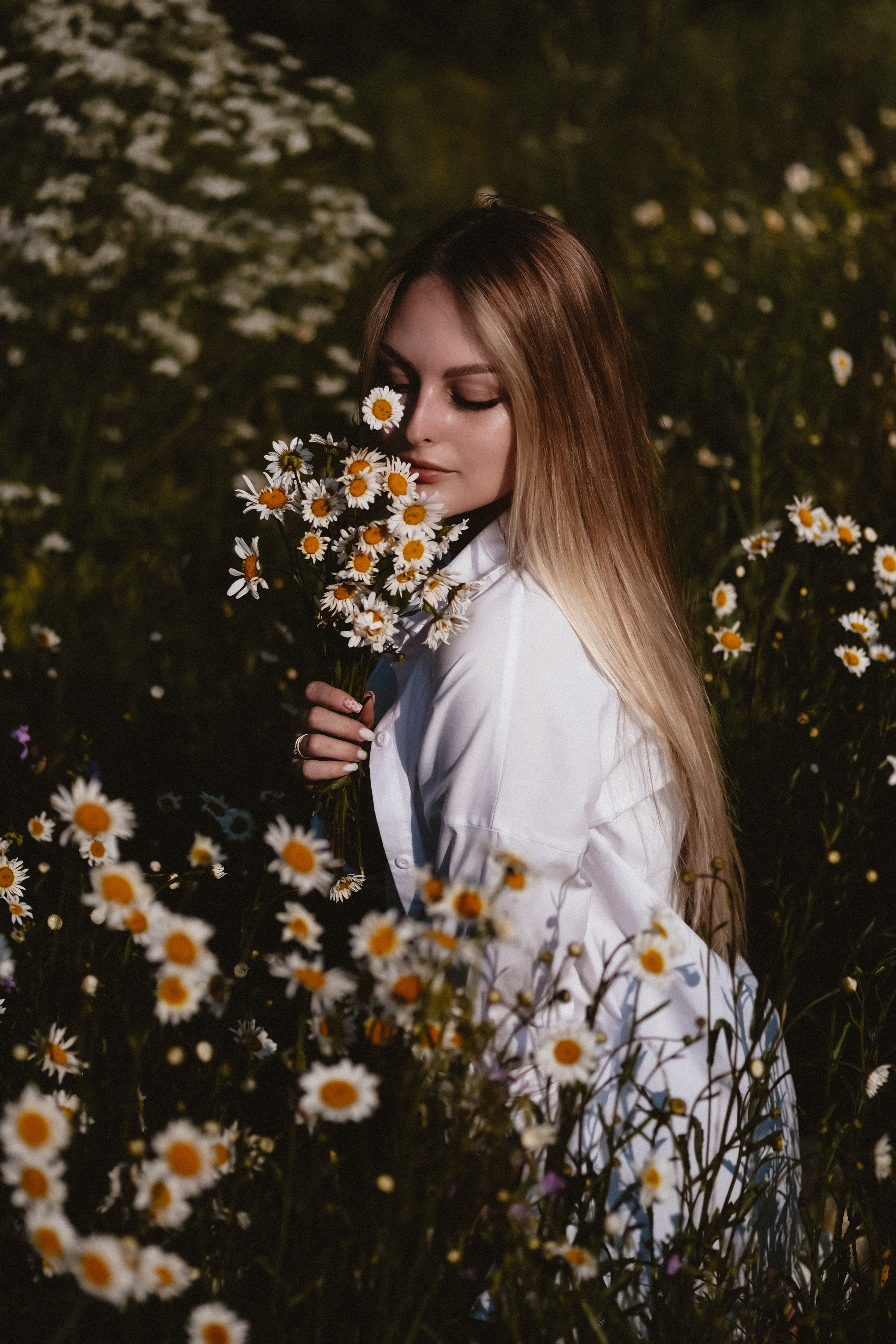 Ромашки. Фотограф и контентмейкер Света Лето | Москва, МО