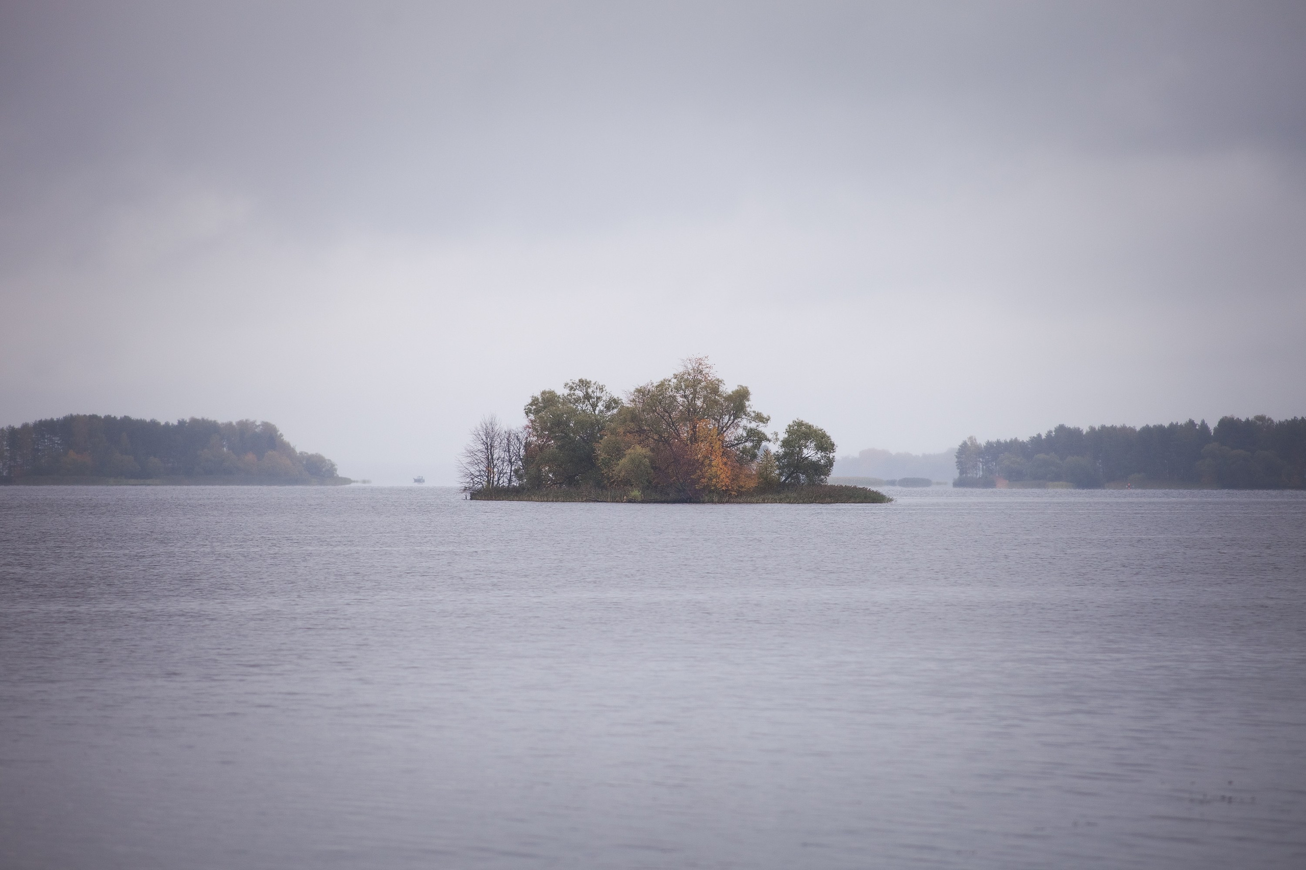 Остров «Свободы». Туманов Виталий — фотограф Москва
