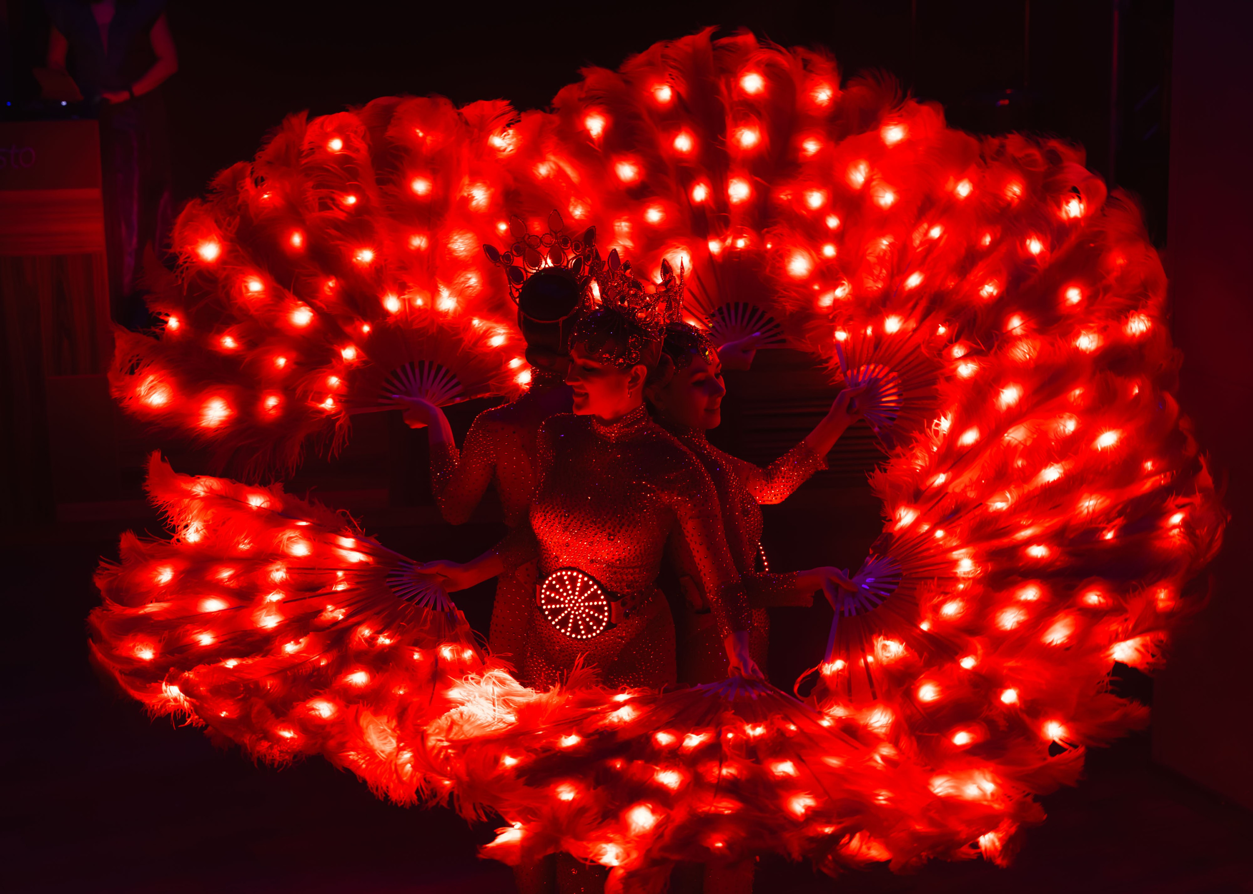 Предновогодка кипарис 2025. ФОТОГРАФ ВИНОГРАДОВА ДАРЬЯ