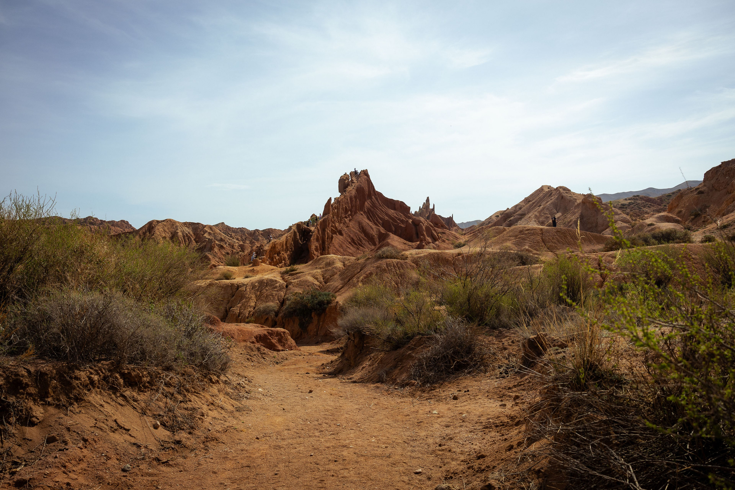 Кыргызстан (весна 2025). Фотограф Виноградов Константин