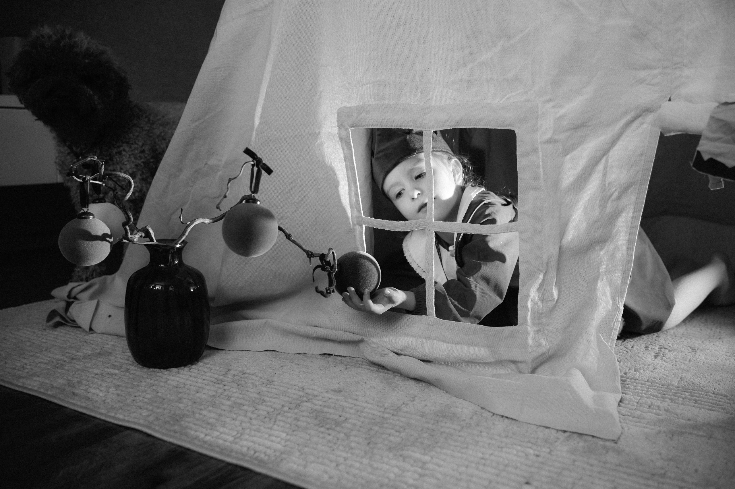 Рождество дома. Фотограф Регина С