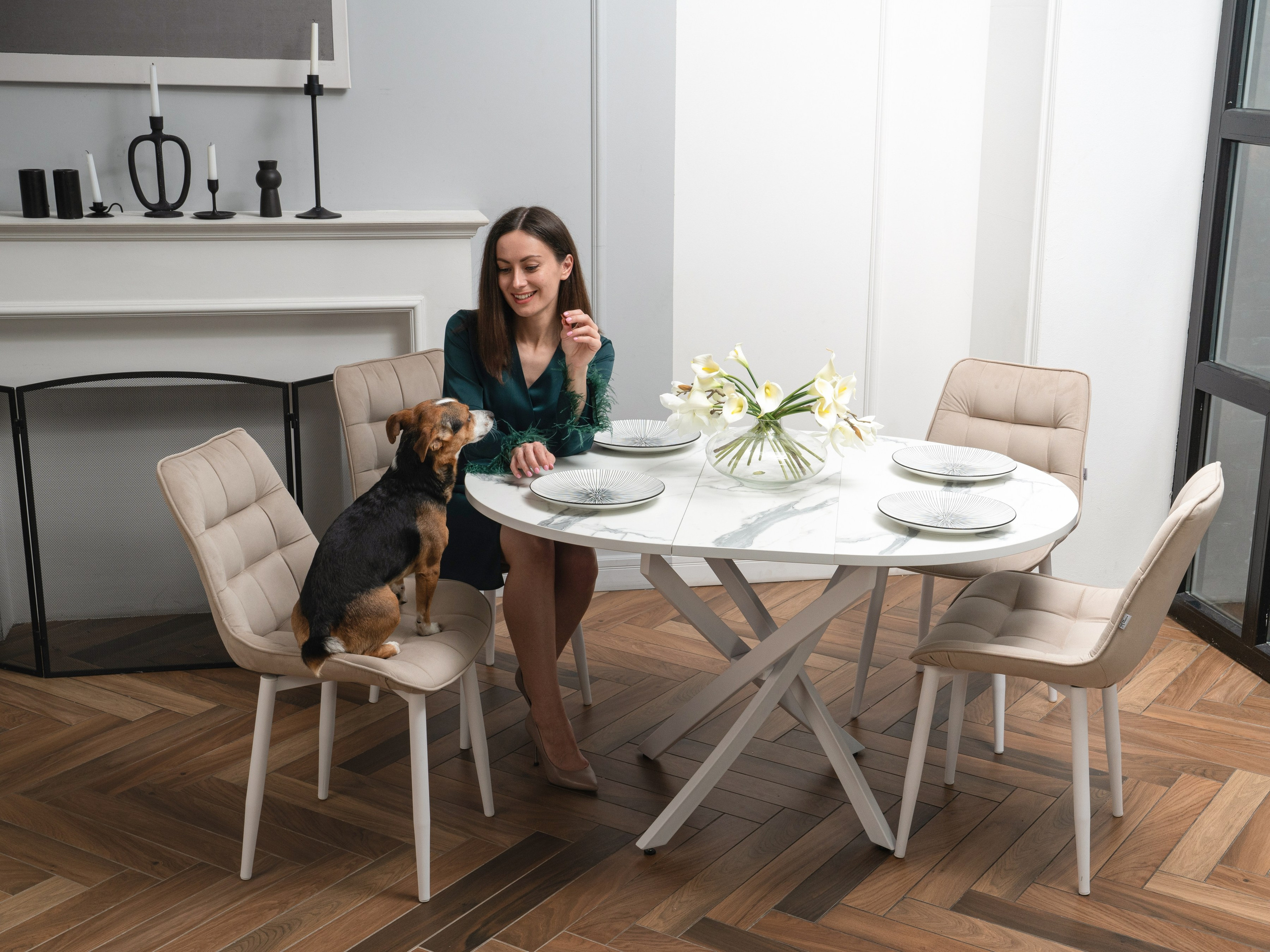 Съемки с животными. КЕД Студия-контент агентство полного цикла СПБ. Создаём фото, видео и контент, который помогает брендам и селлерам продавать больше