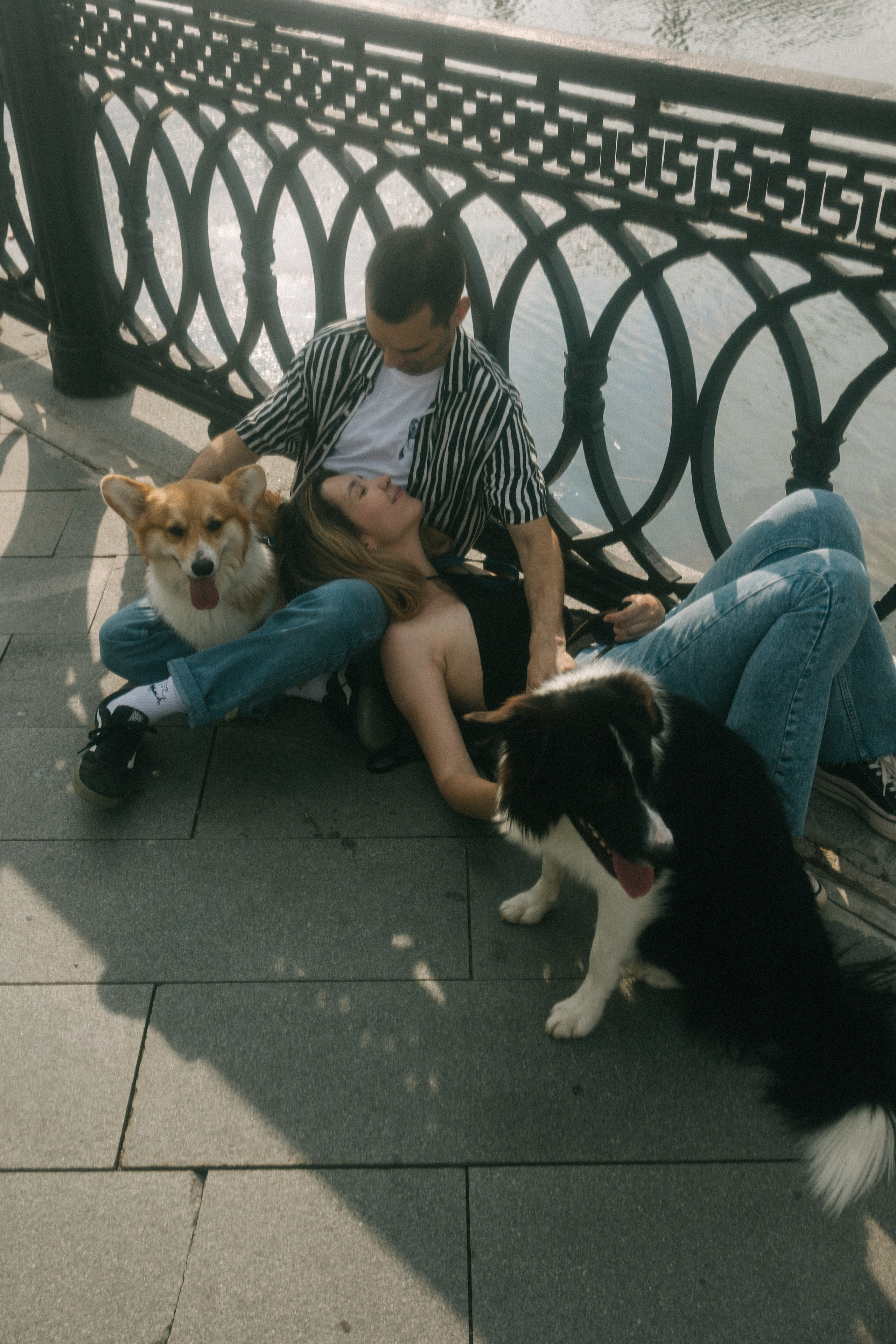 Брюс, Вейв и их ро. Фотораф — анималист Мария Шистка