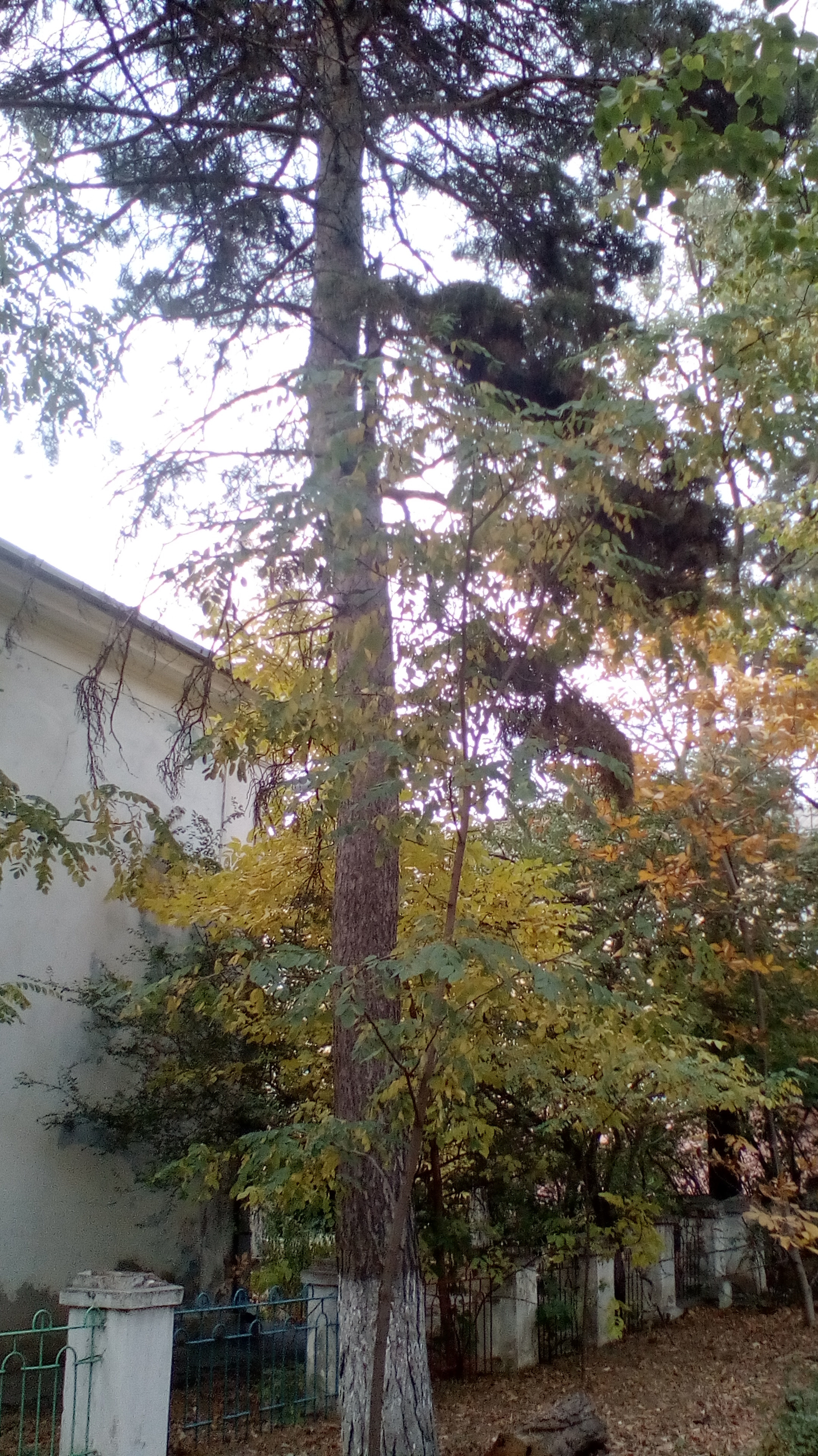 Улица Пятигорская. Фотоальбом истории города Лермонтов