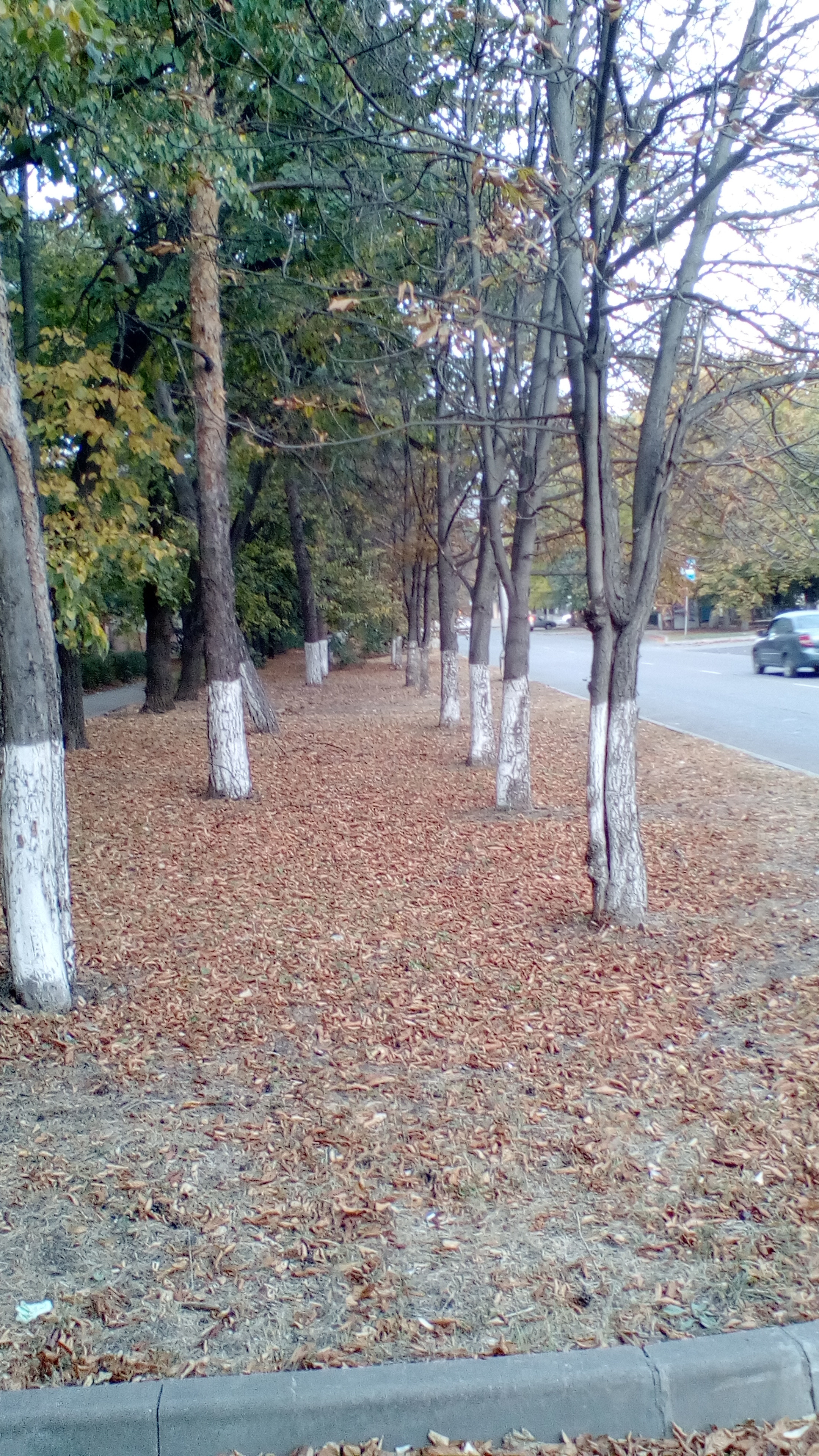 Улица Пятигорская. Фотоальбом истории города Лермонтов