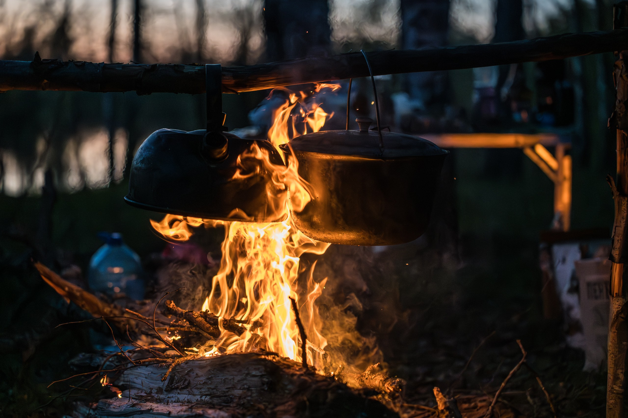 Владимир Зоологов — Домашняя страничка