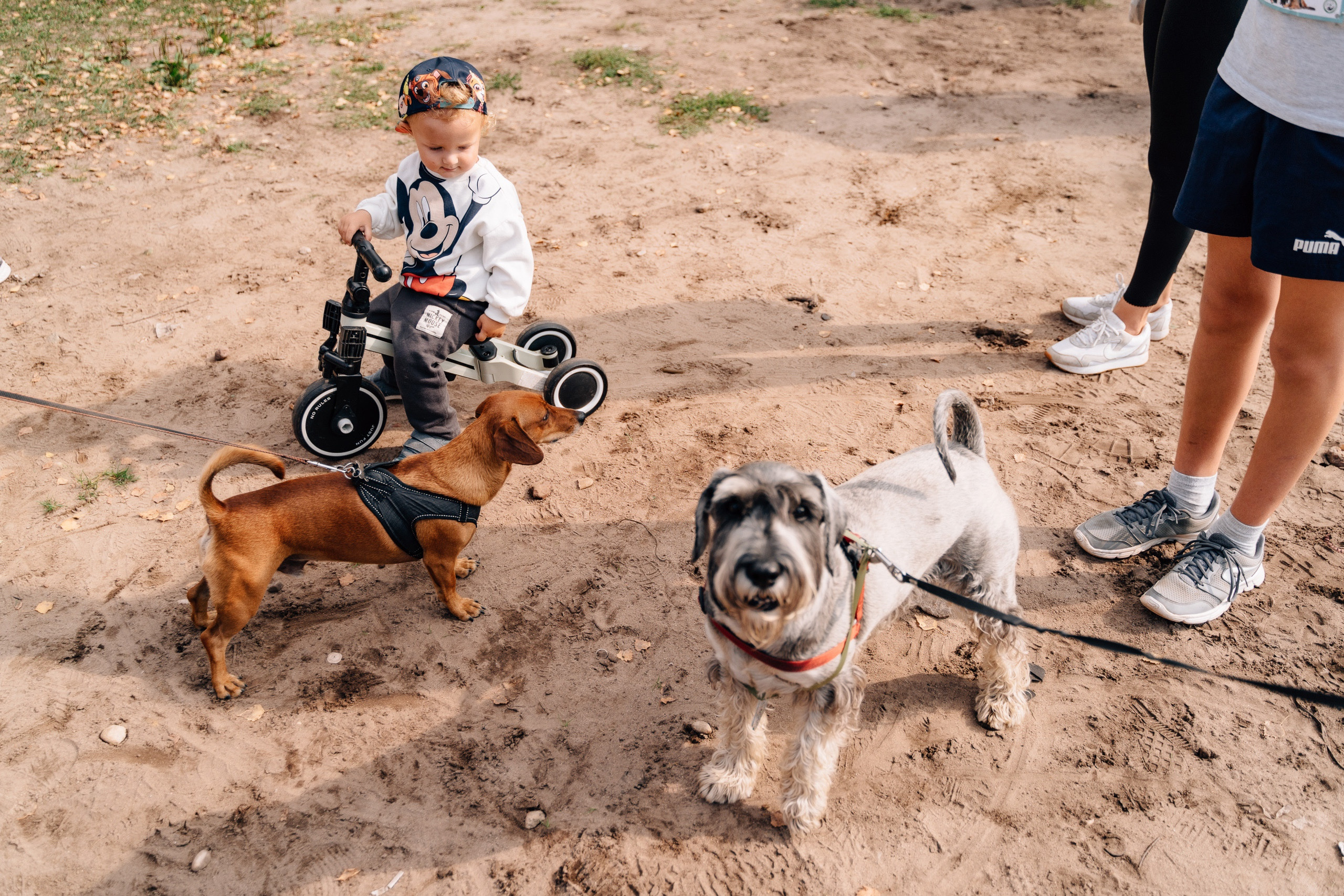РЕПОРТАЖ. Фотограф Максим Школьников