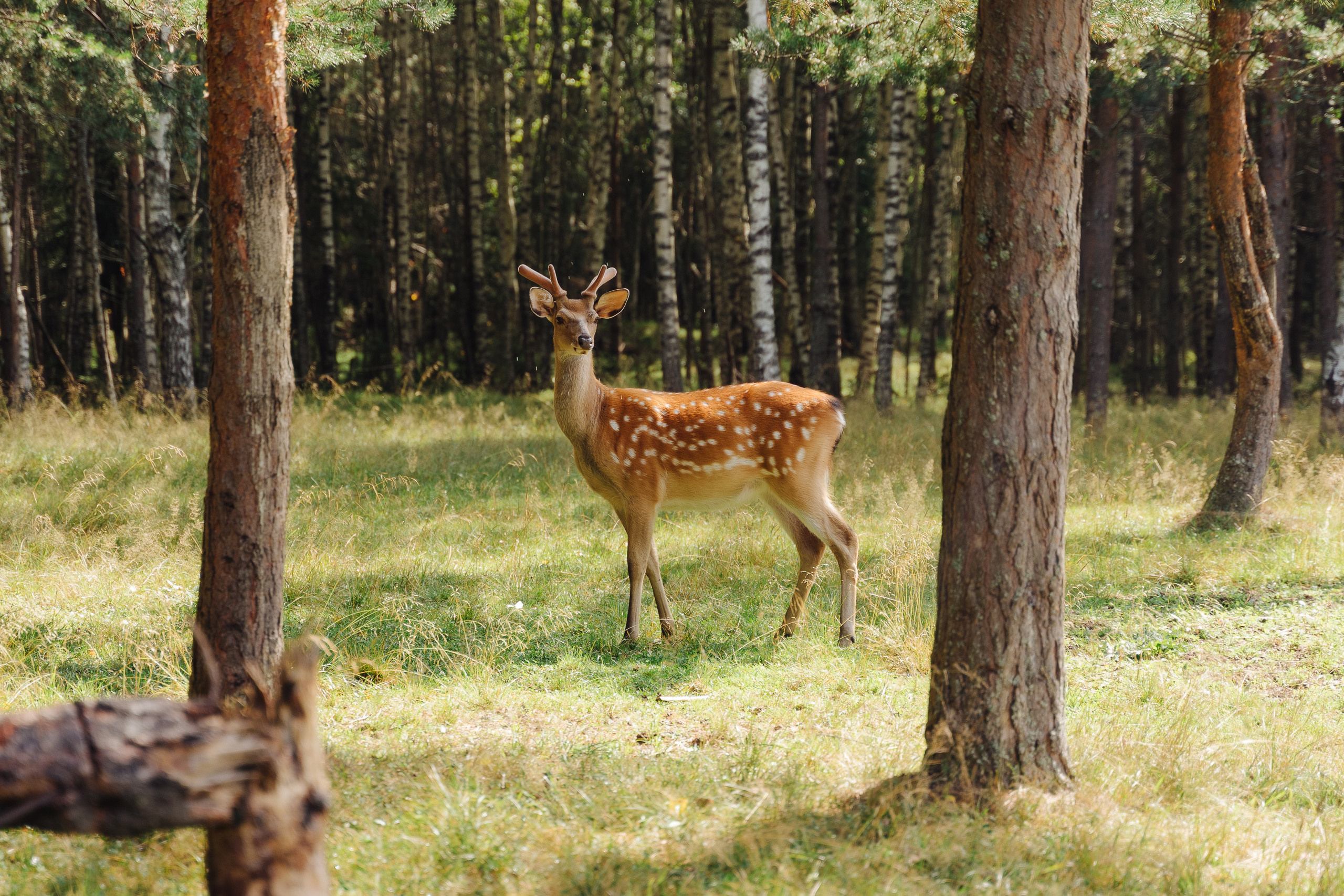 РЕПОРТАЖ. Фотограф Максим Школьников