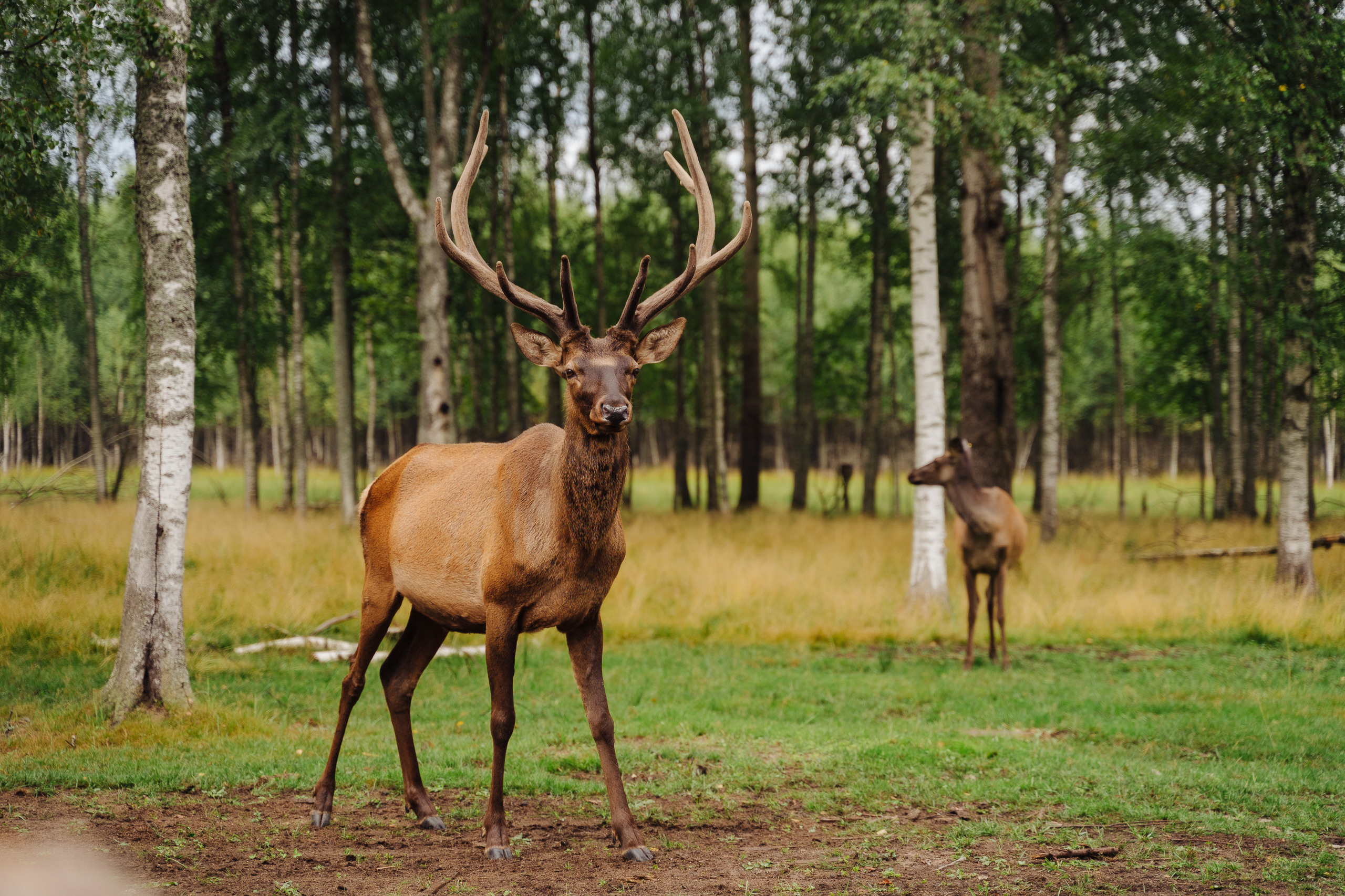 РЕПОРТАЖ. Фотограф Максим Школьников
