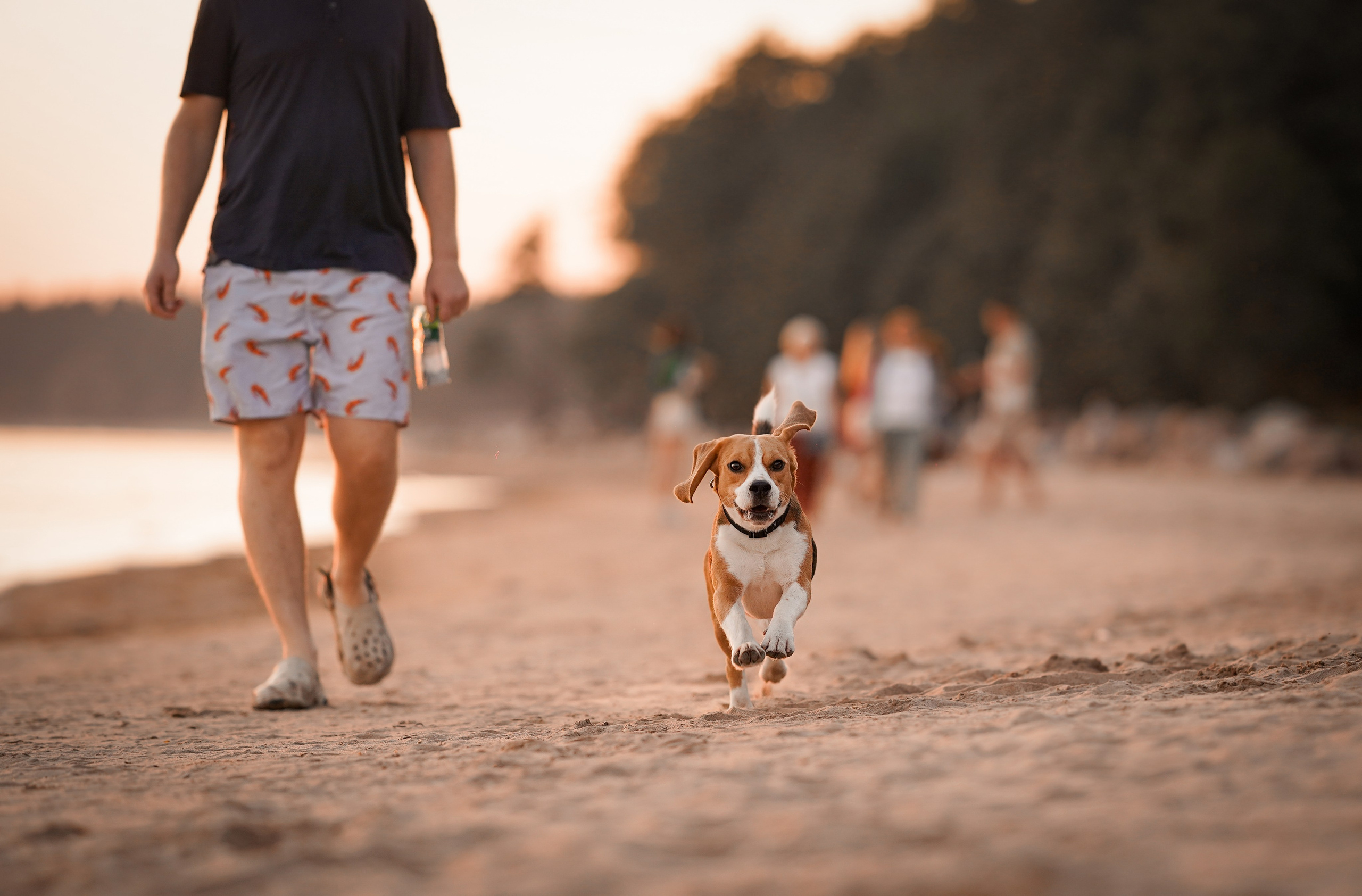 Оля Леша и Ричард. Фотограф-анималист в Санкт-Петербурге Яна Мартынова