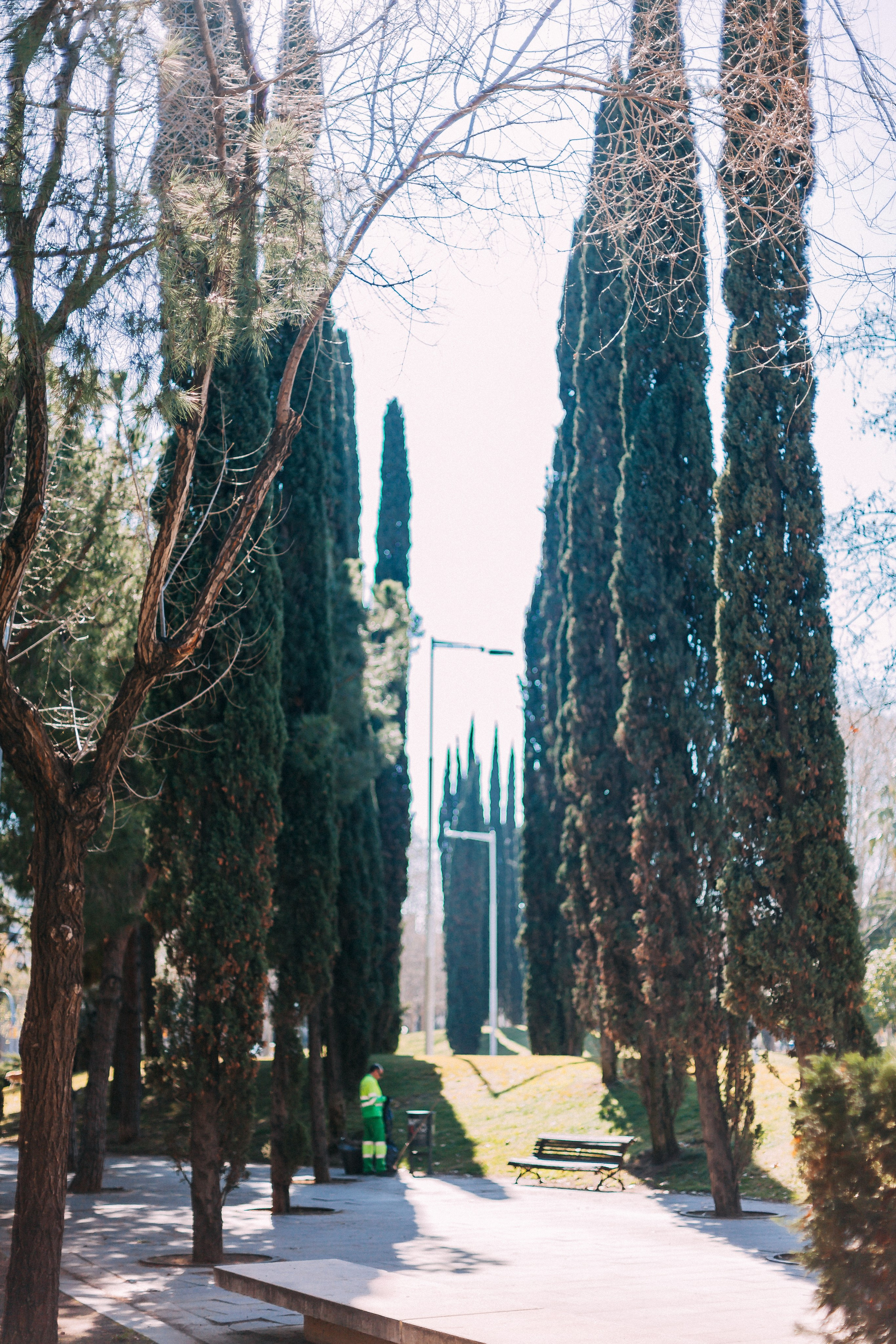 Барселона. Аня Степанова