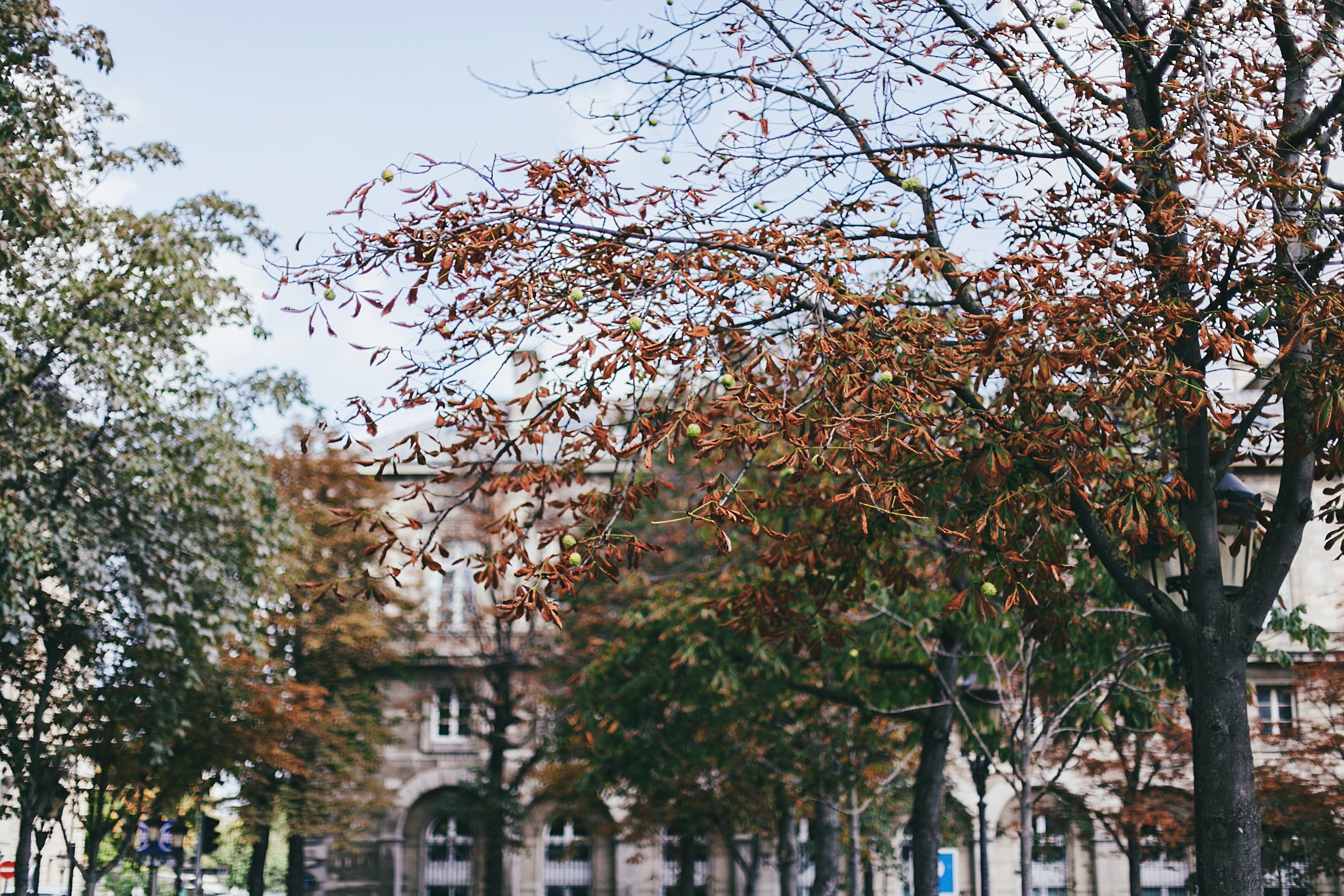 Париж. Аня Степанова