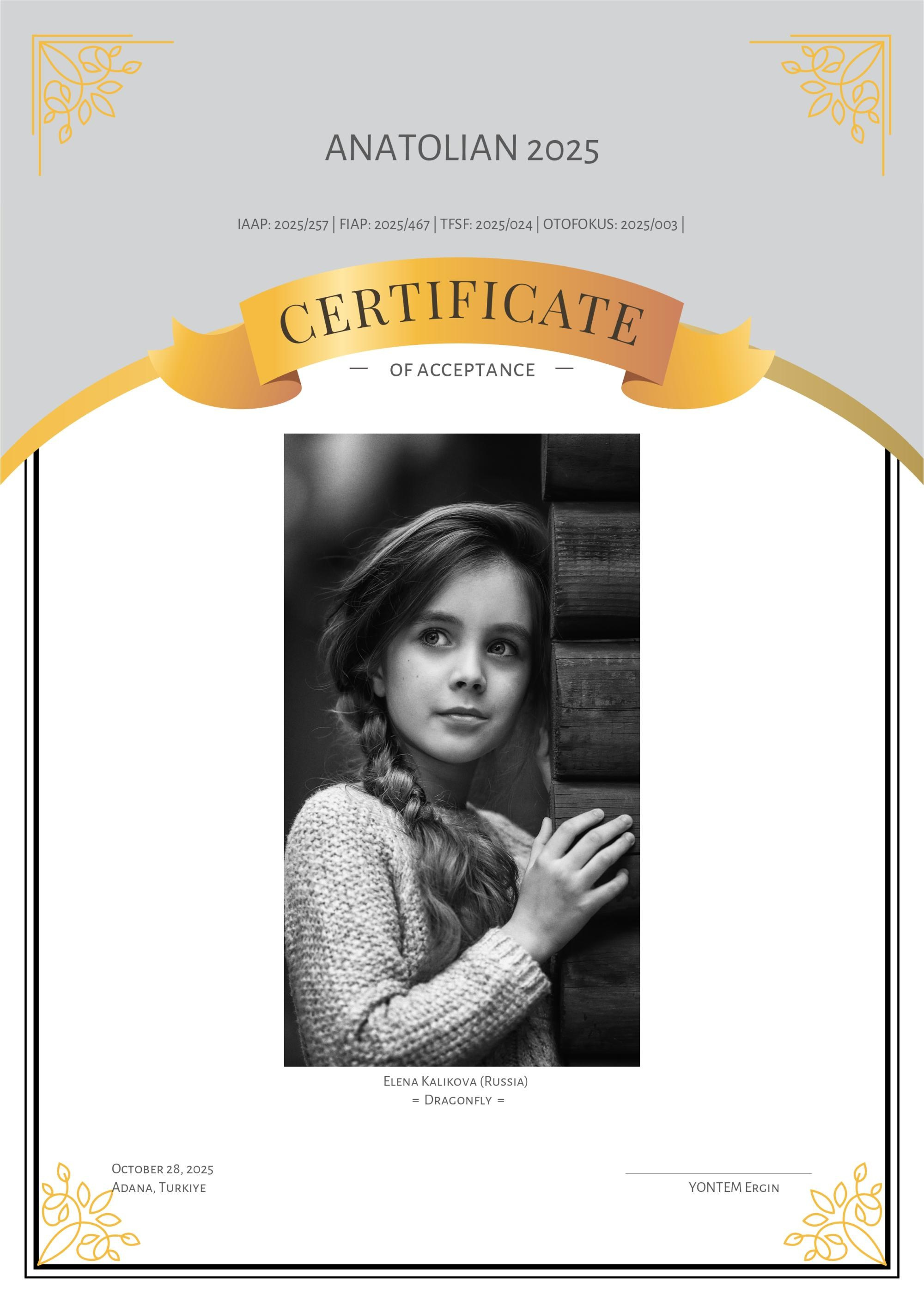 Дипломы и Награды. Семейный и детский фотограф в Екатеринбурге Каликова Елена