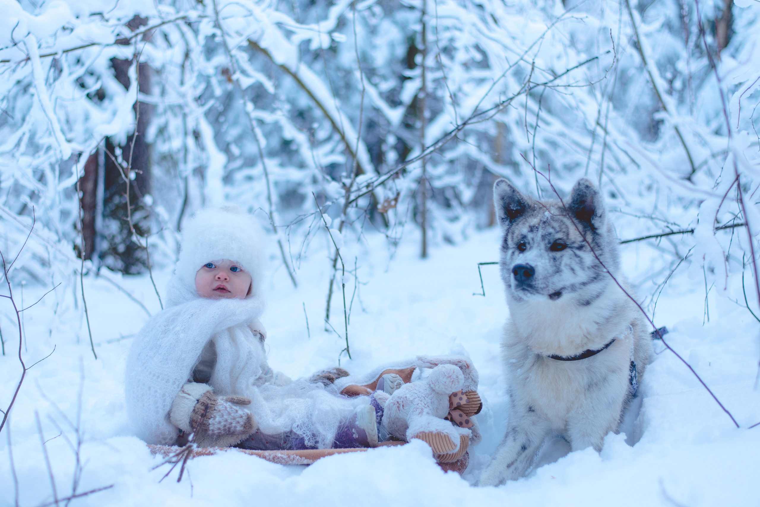 Семейная съемка Киров. Кирилл Бутлович фуд фотограф, Киров