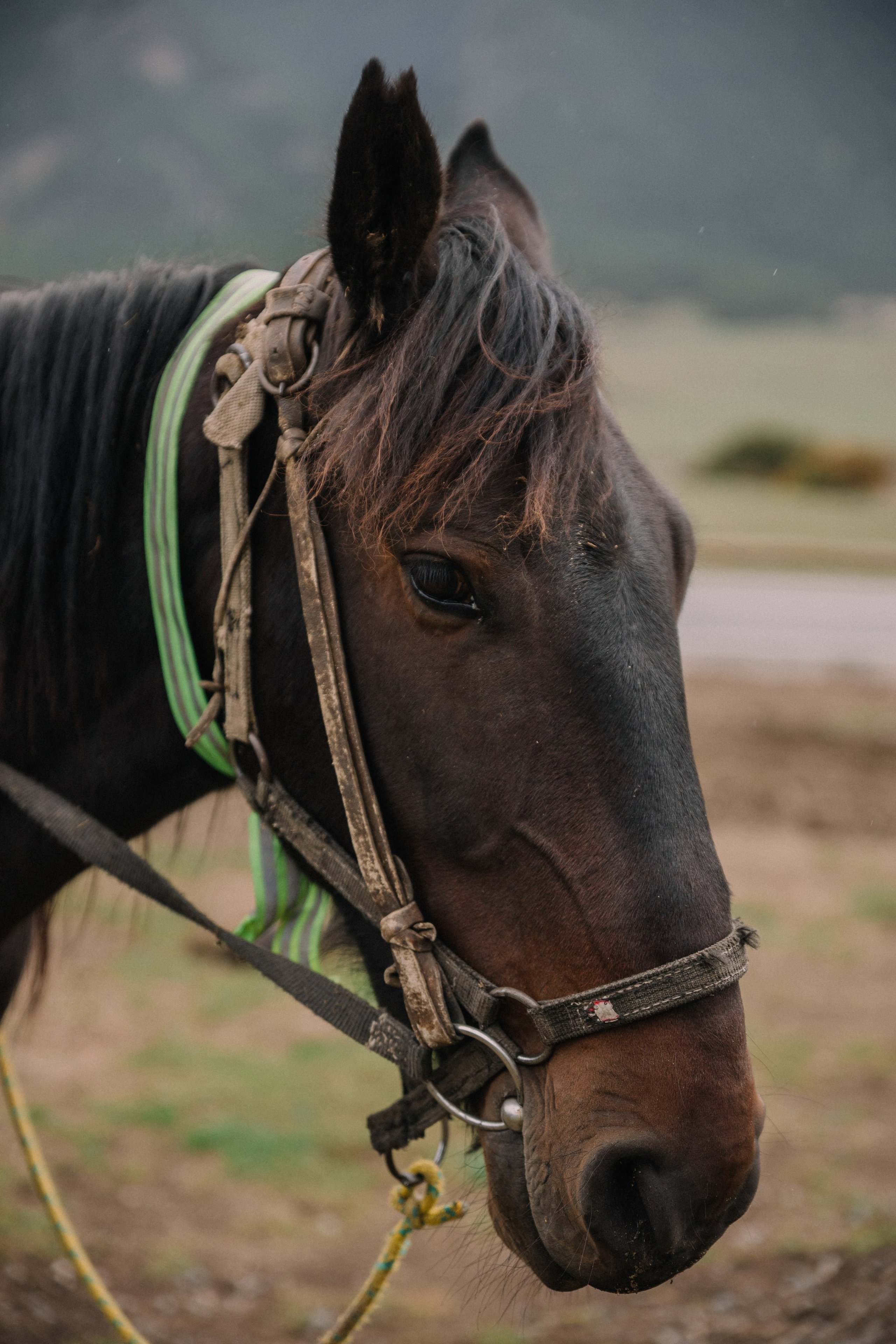 Пейзажи. Меня зовут Стас Барыкин, я фотограф. Живу и работаю в Ростове-на-Дону