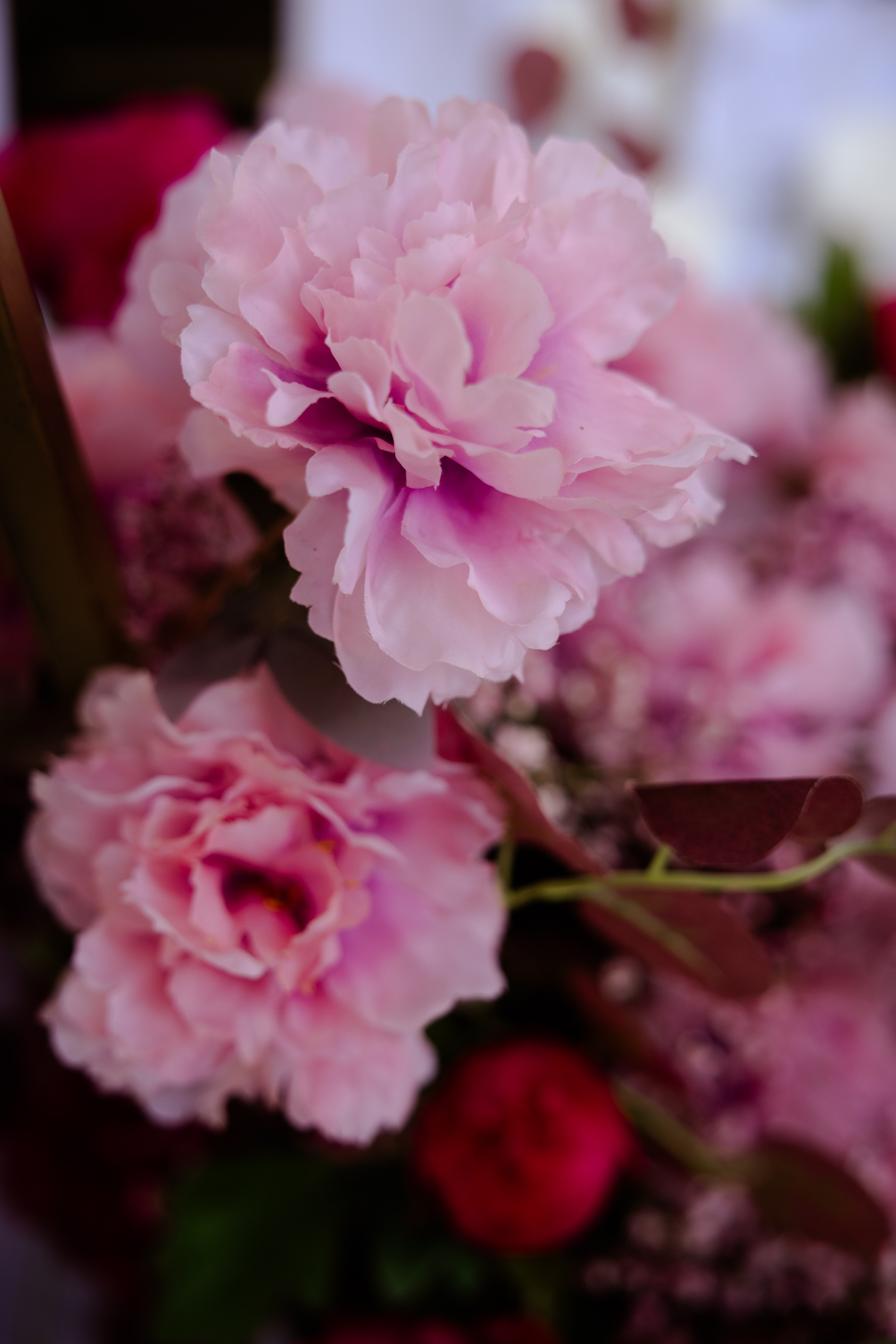 Свадьба Ксении и Думитру. Виктория Зудина — фотограф в Москве