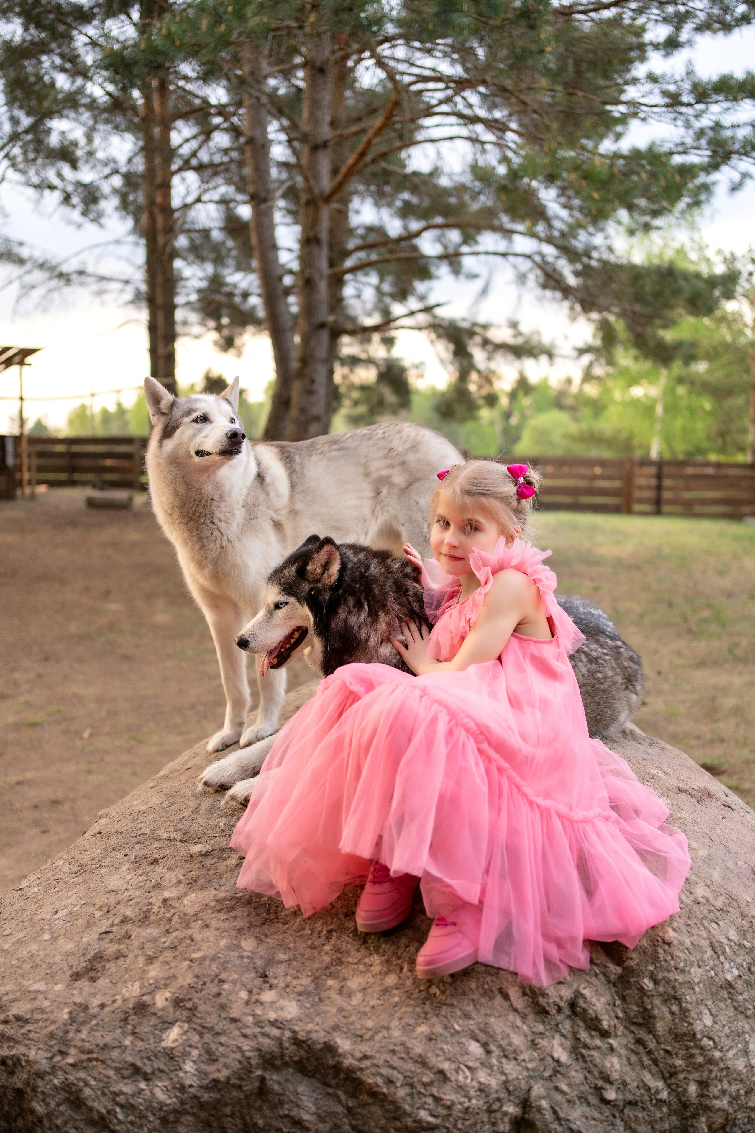 Хаски парк. Семейный и свадебный фотограф Минск, Беларусь Анна Орловская