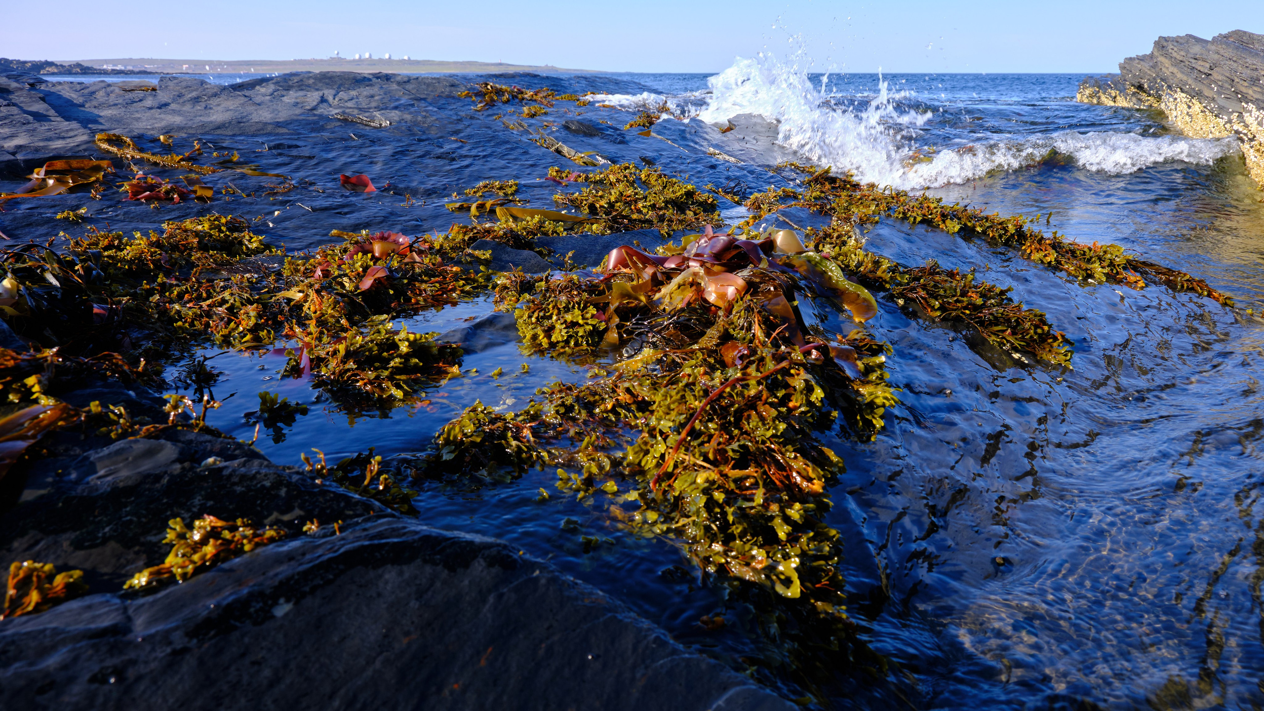 Полуостров Рыбачий. Пейзажи Крайнего Севера. Баренцево море, Рыбачий, Средний, Немецкий