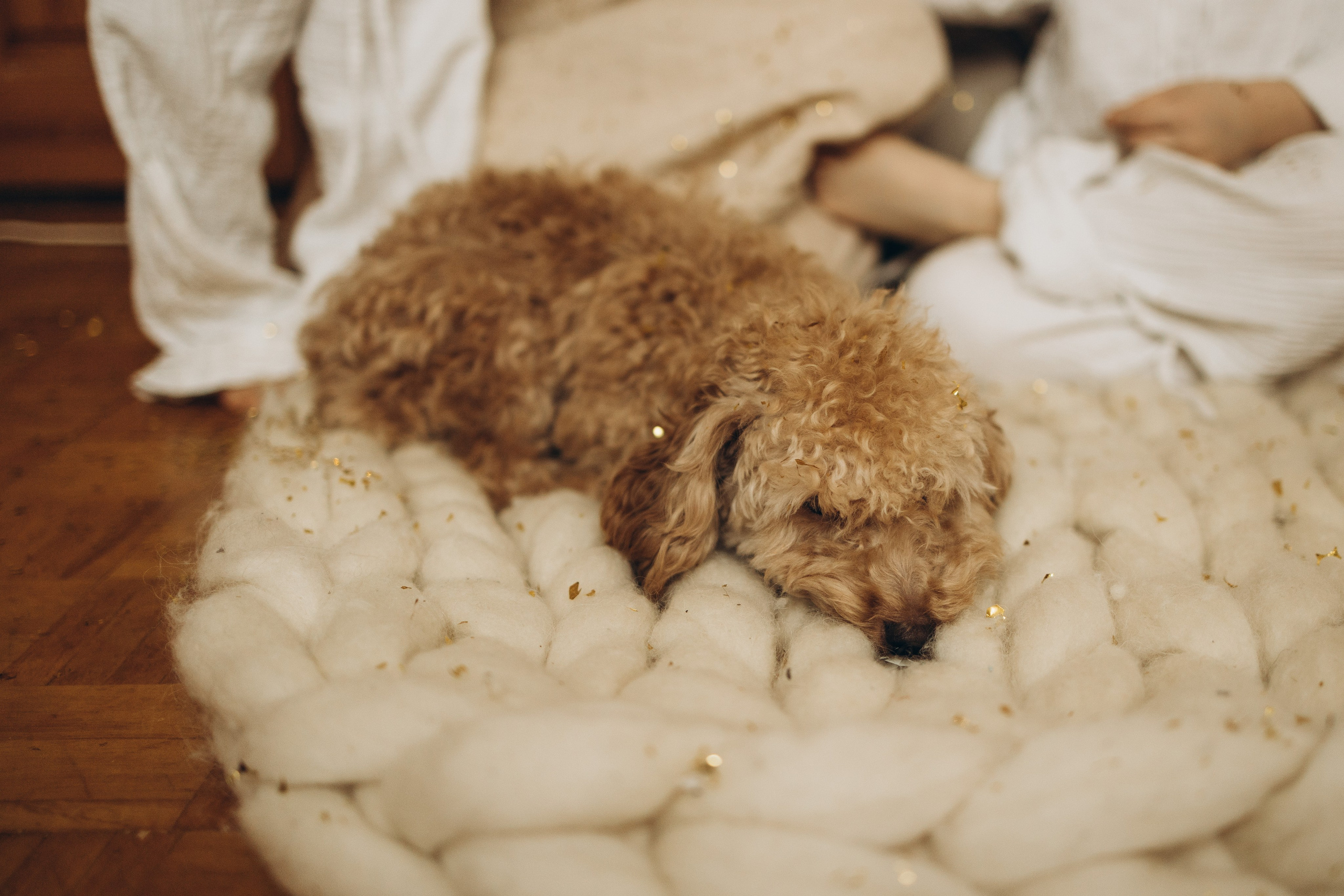 Оля, Саша, Елисей и Демид. Семейный фотограф в Москве Виктория Ястребинская