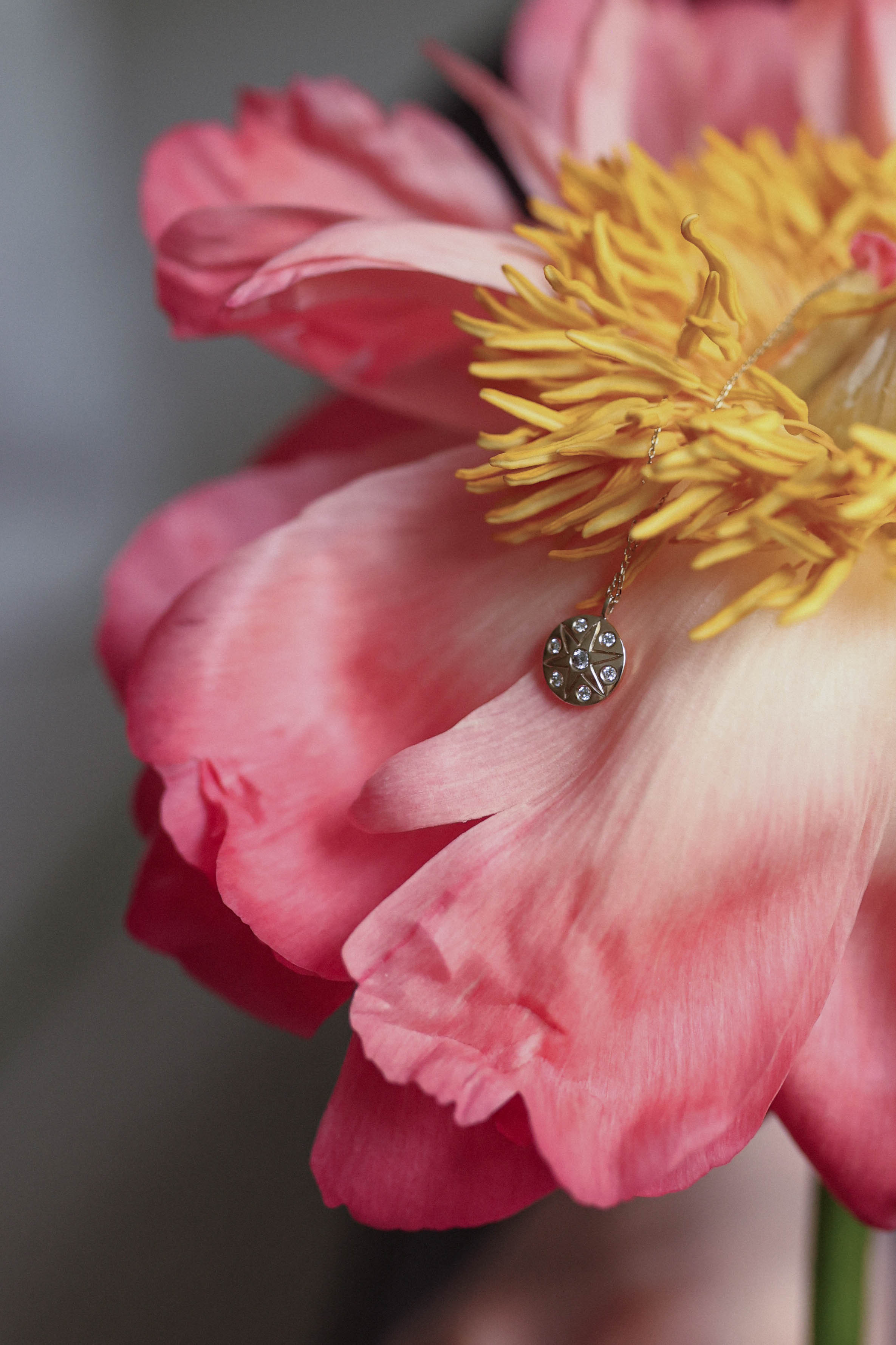 Коллаборация украшения и студия акупунктуры и холицистической терапии. Детский и семейный фотограф, съемка новорожденных Москва