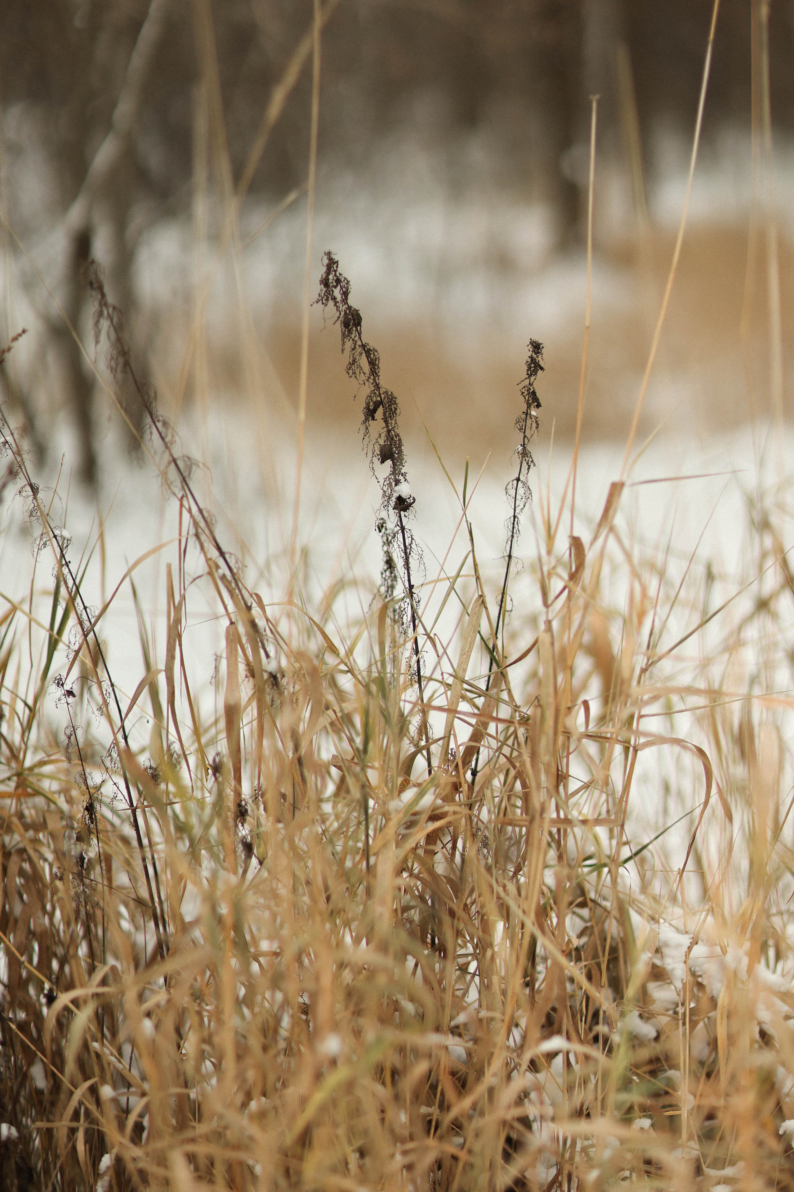 Маша и Василиса. Детский и семейный фотограф, съемка новорожденных Москва