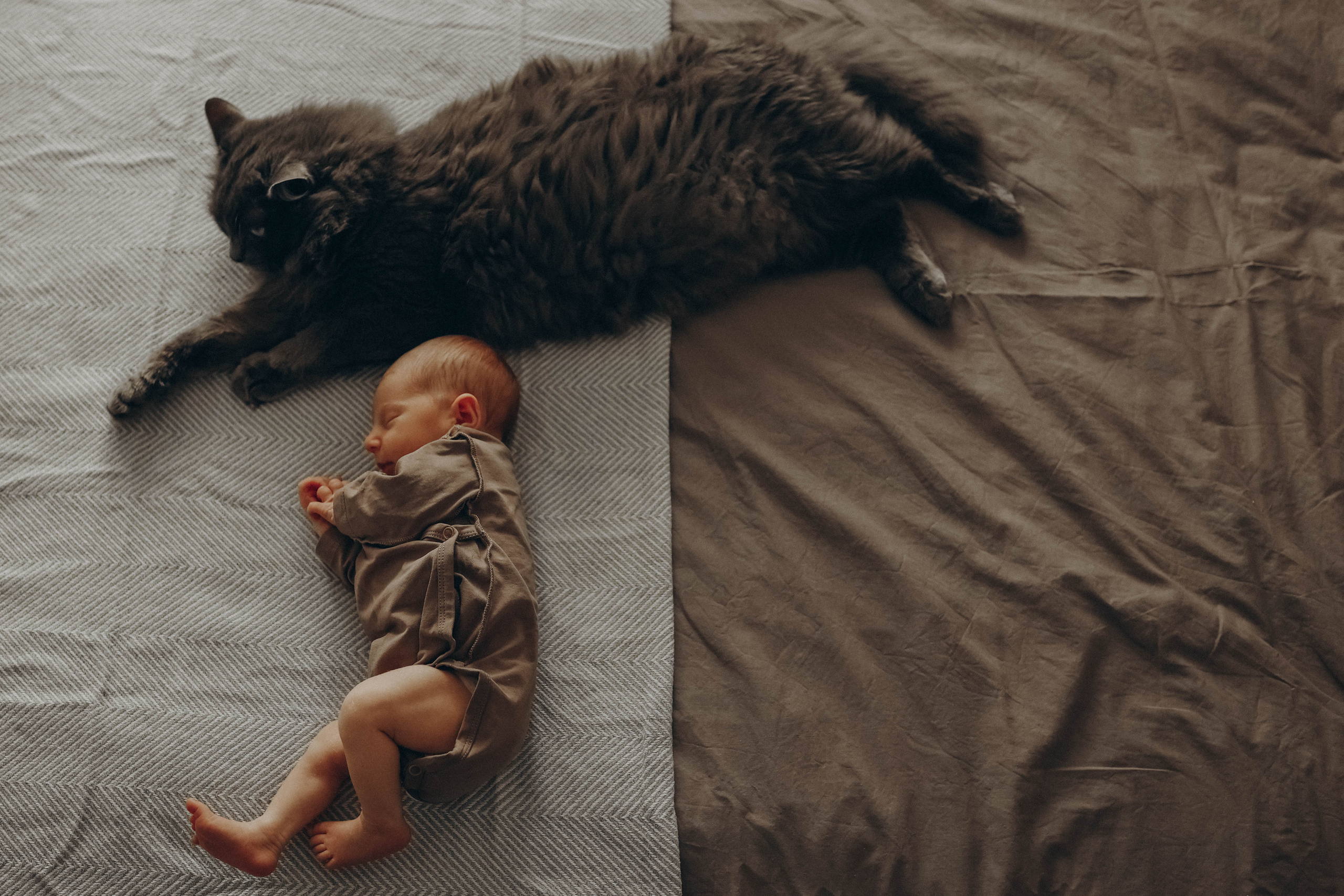 Малышка Тася. Детский и семейный фотограф, съемка новорожденных Москва