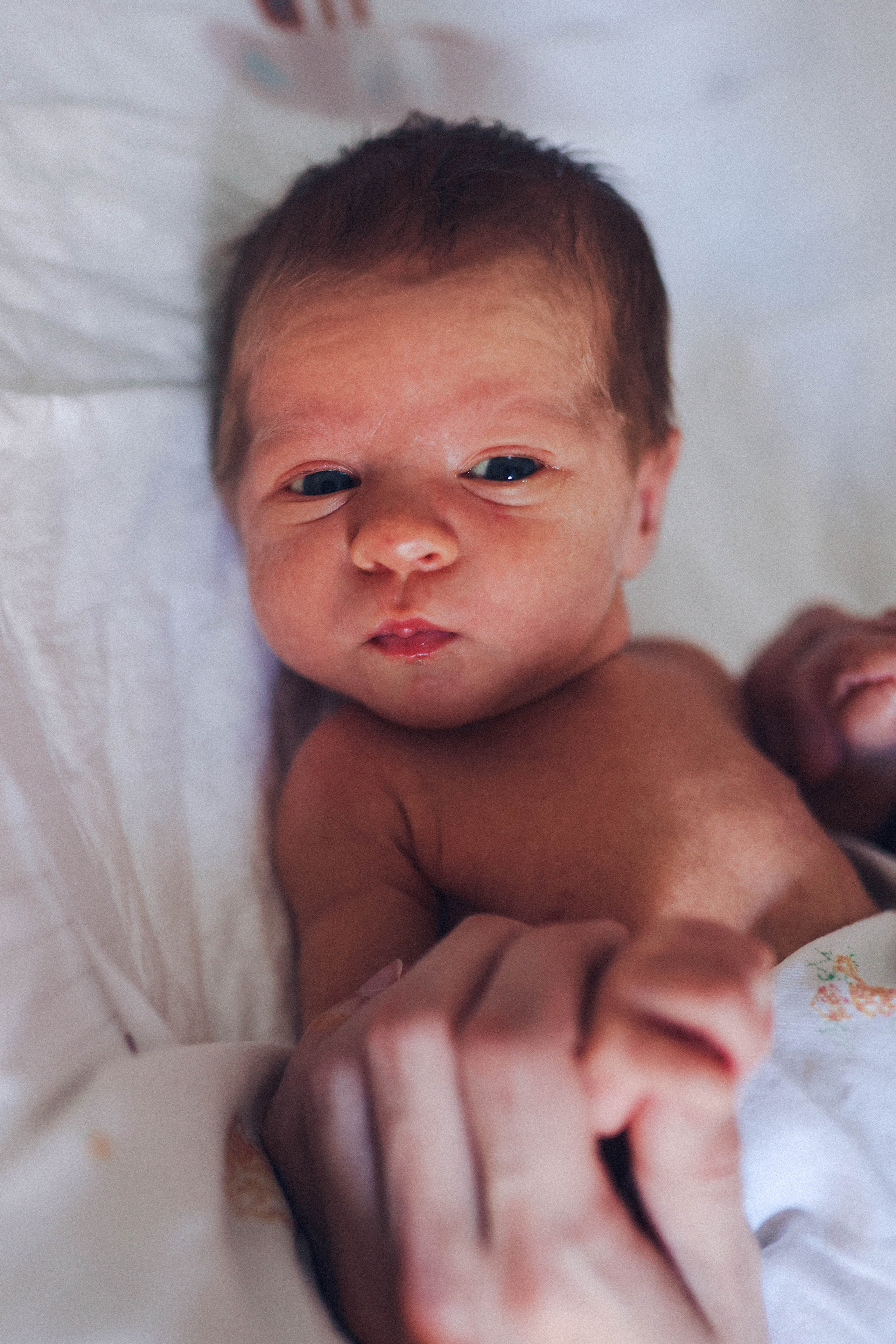 Малыш Данечка. Детский и семейный фотограф, съемка новорожденных Москва